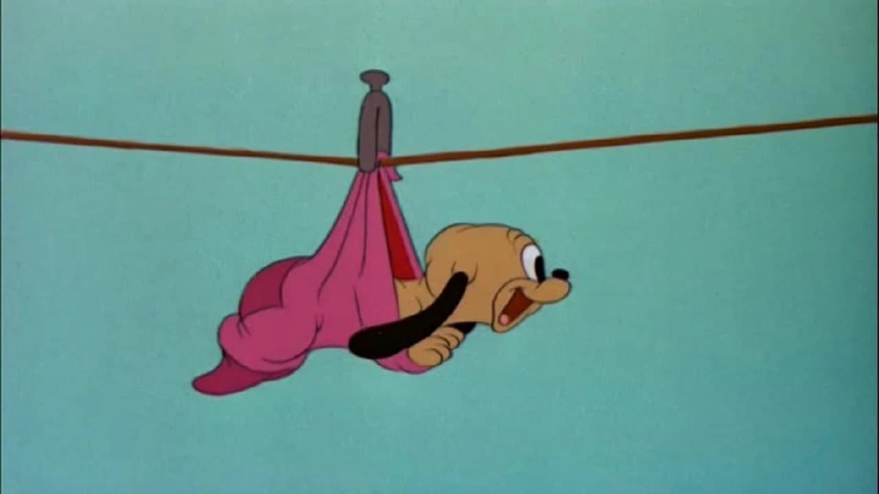 Pluto Junior