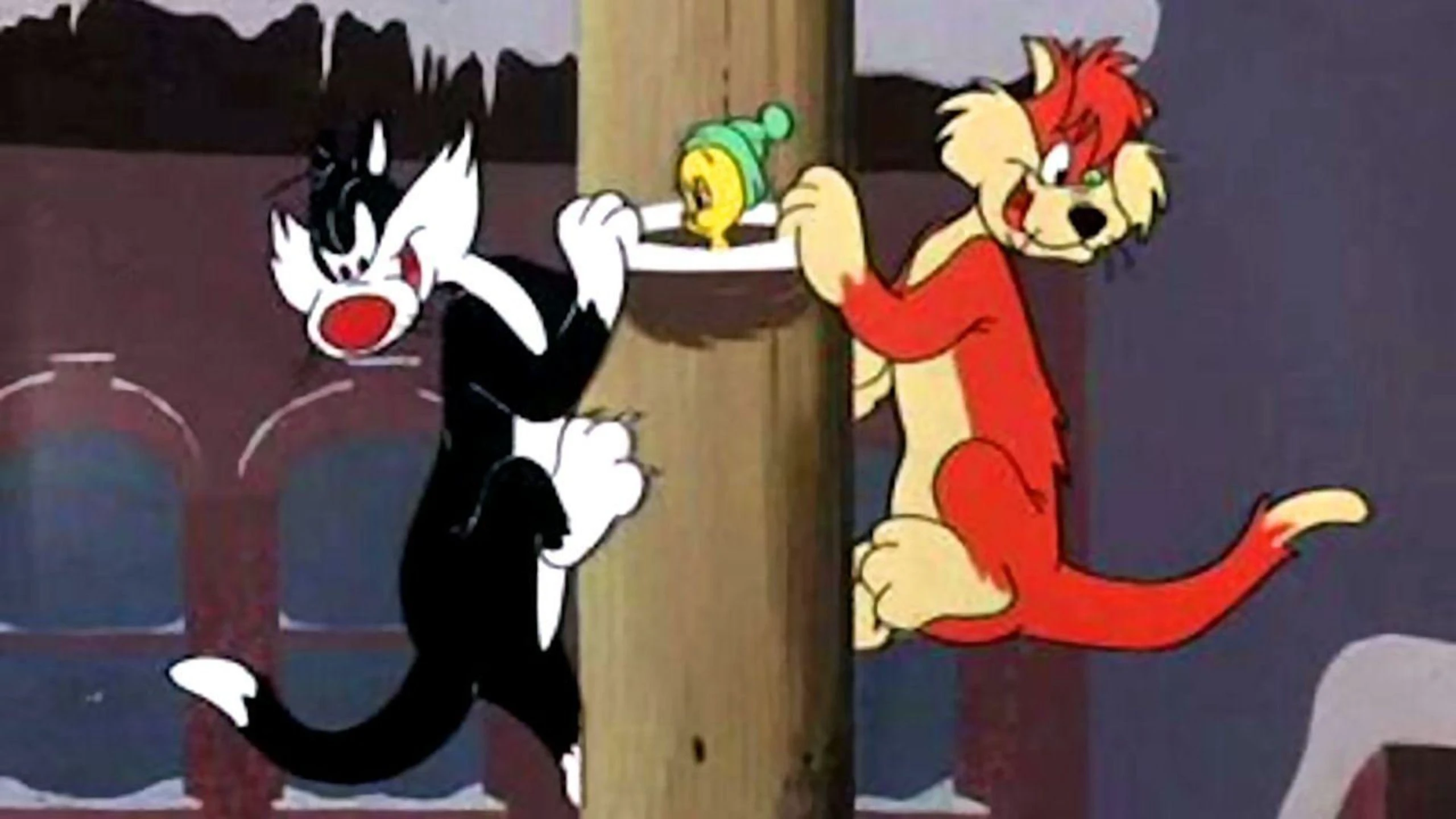 Immer Ärger mit der Miezekatze