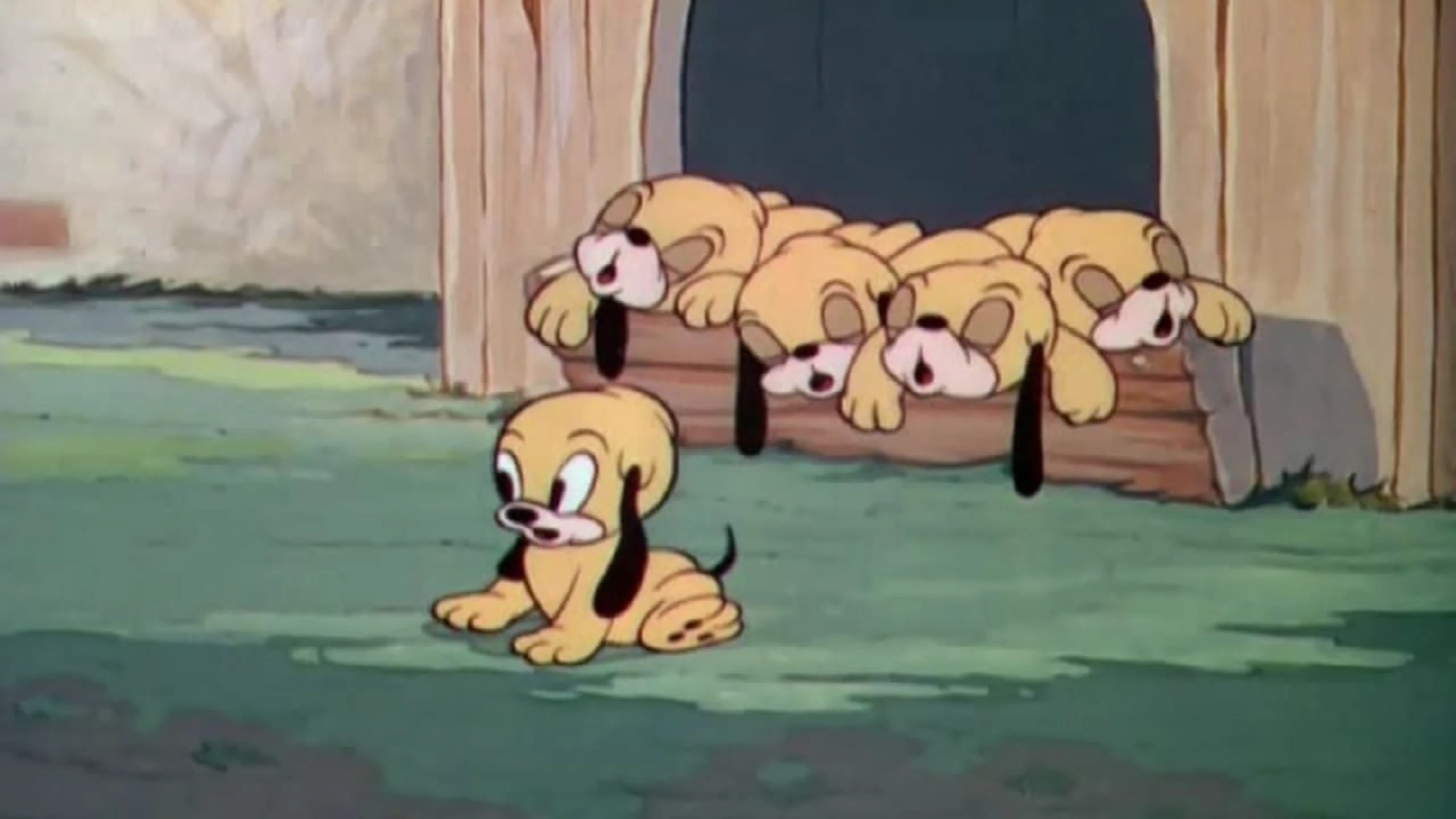Plutos freche Fünflinge