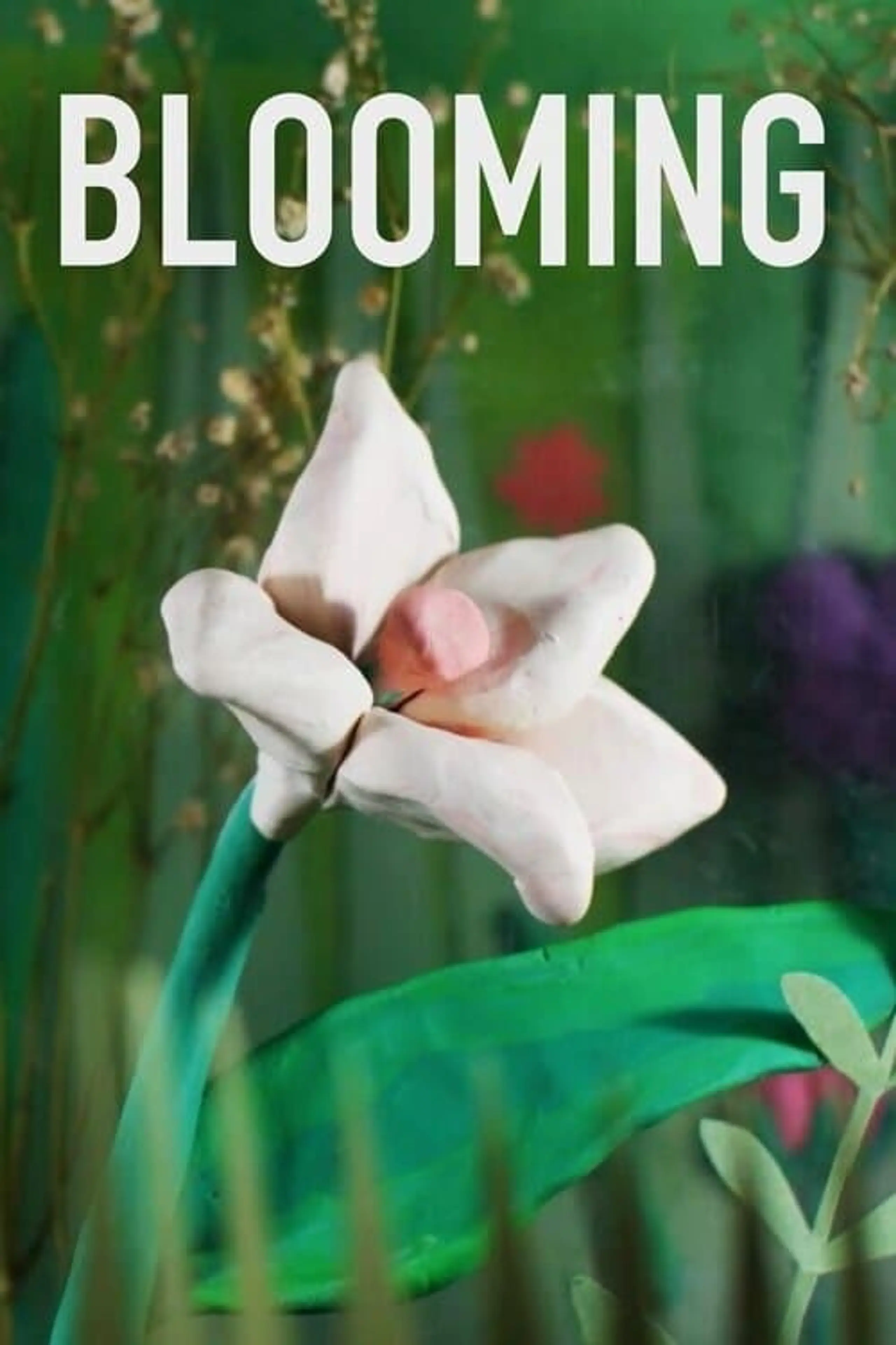 Blooming