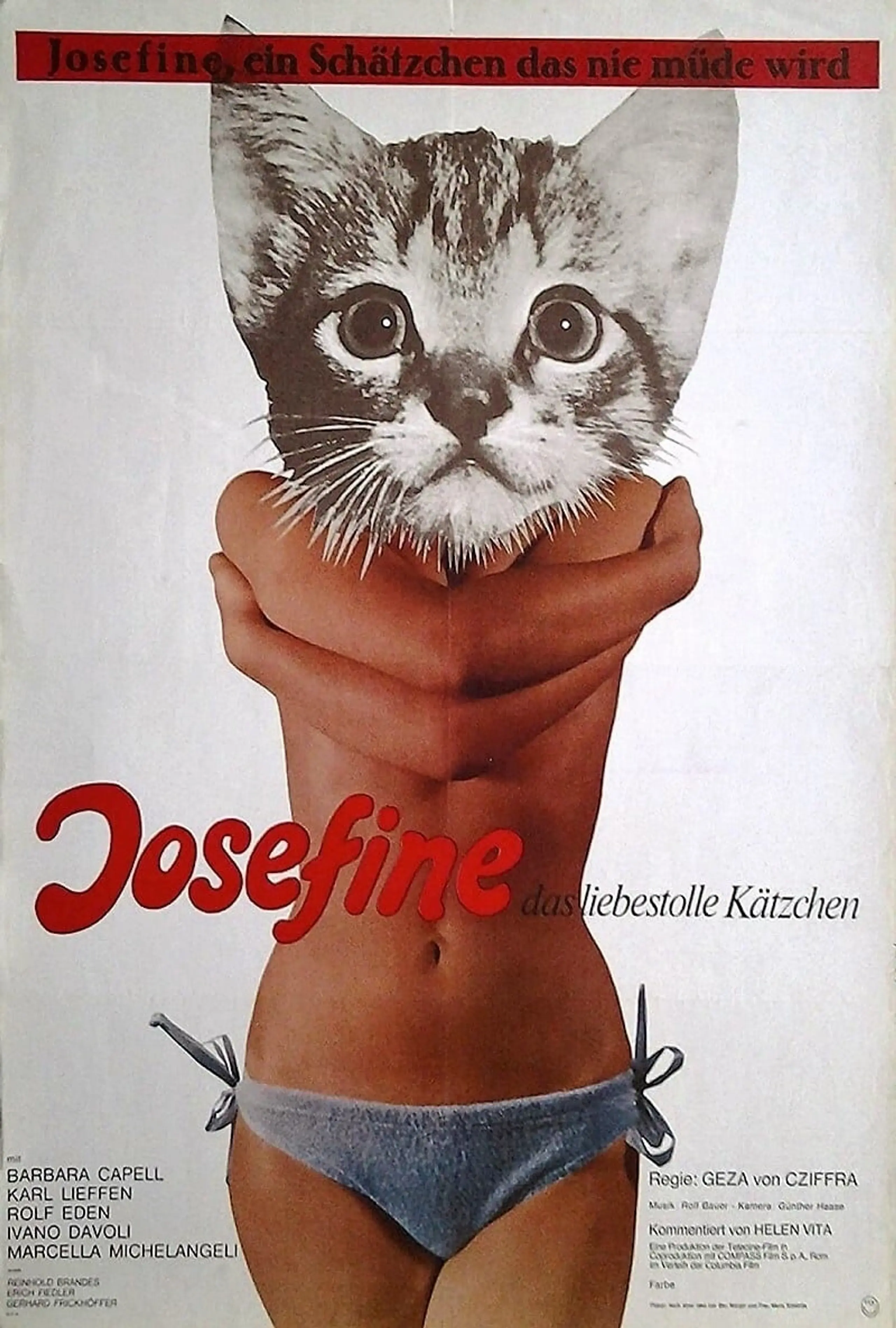 Josefine - das liebestolle Kätzchen