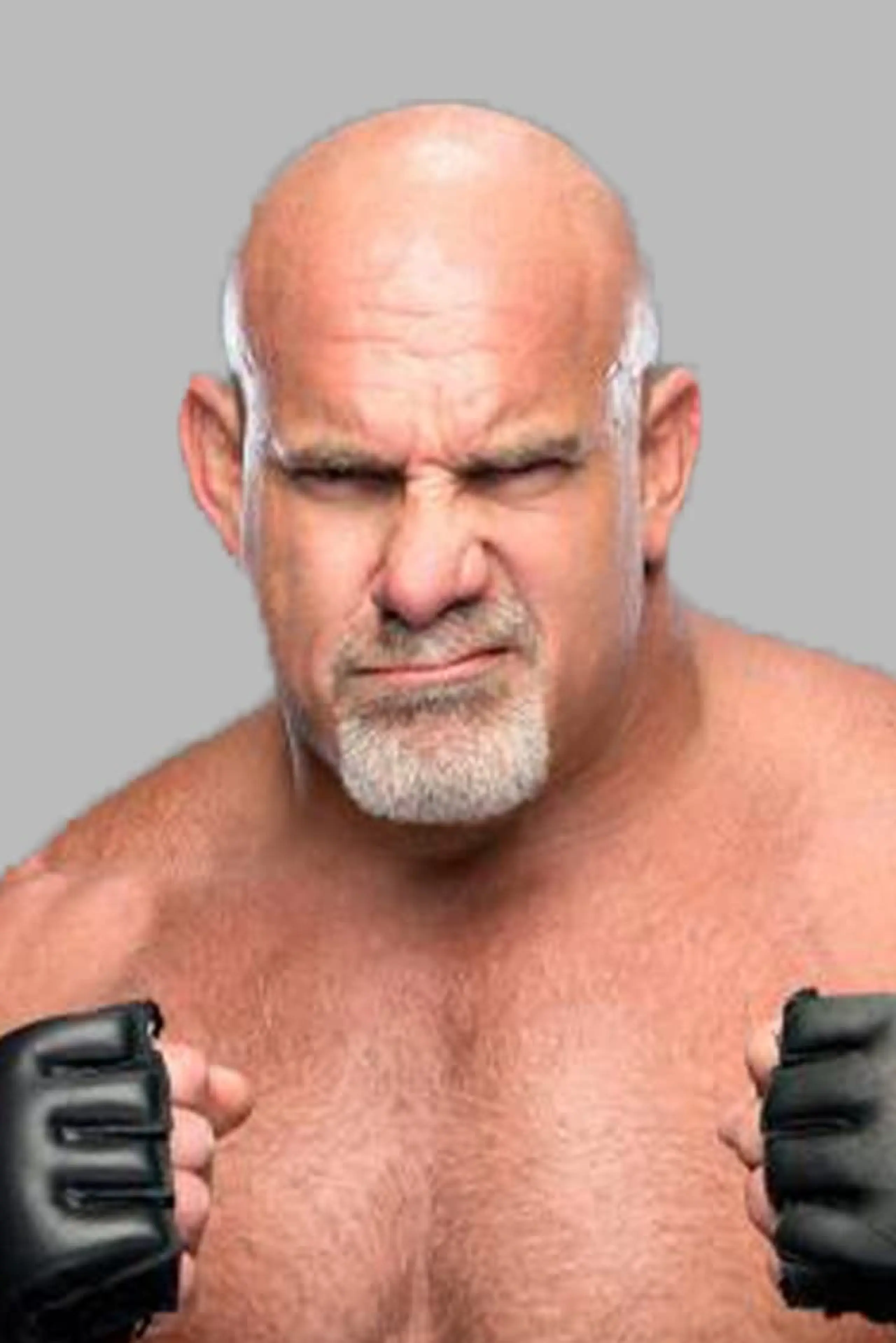 Foto von Bill Goldberg