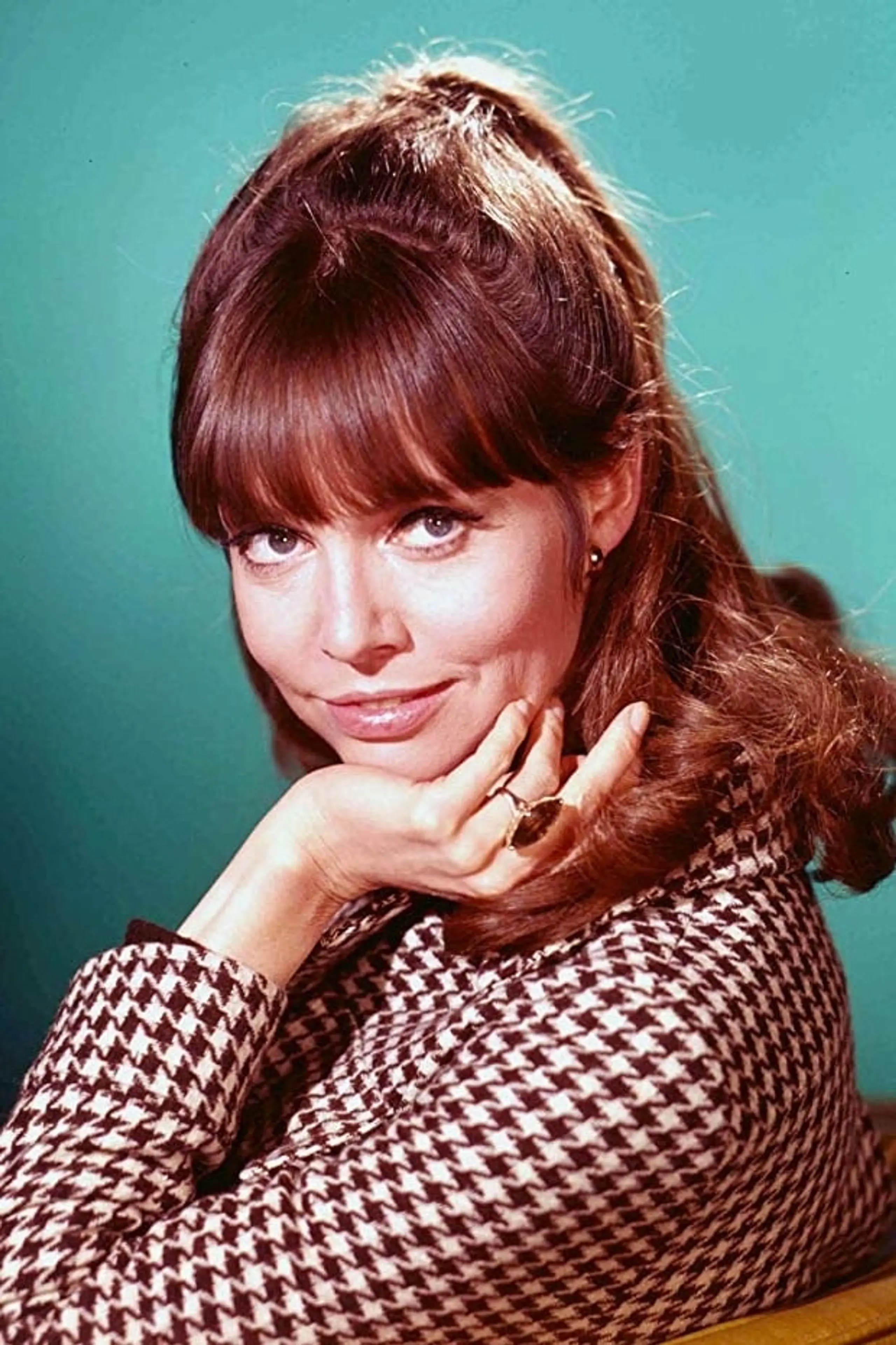 Foto von Barbara Feldon