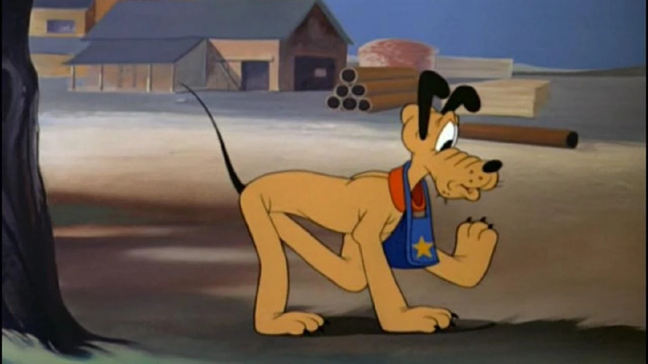 Pluto auf heißer Fährte