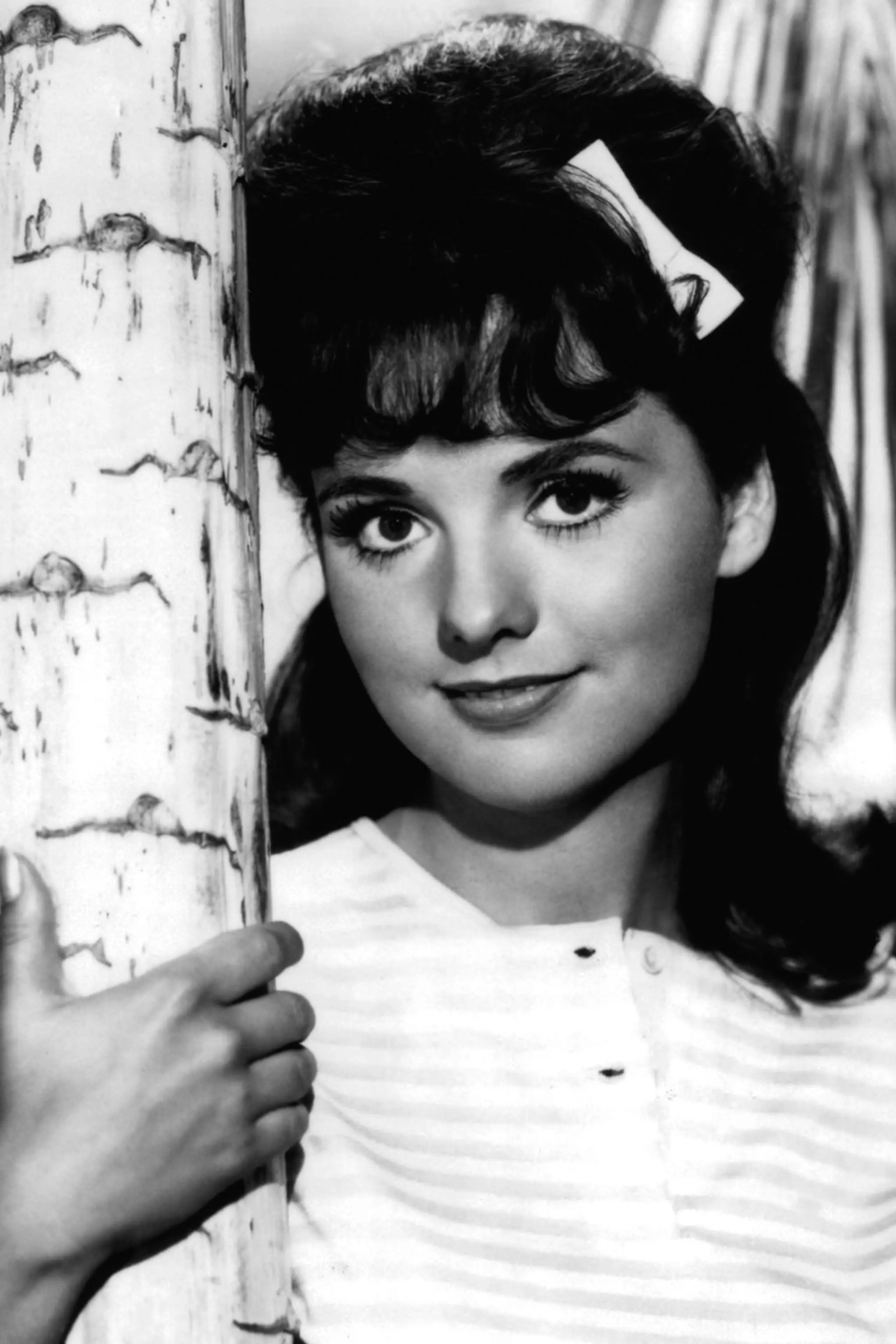 Foto von Dawn Wells