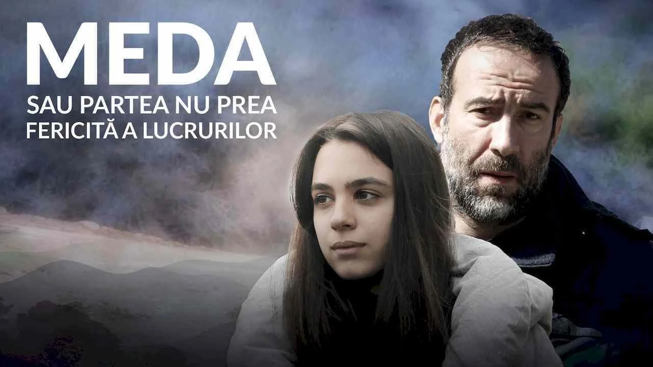 Meda sau Partea nu prea fericita a lucrurilor