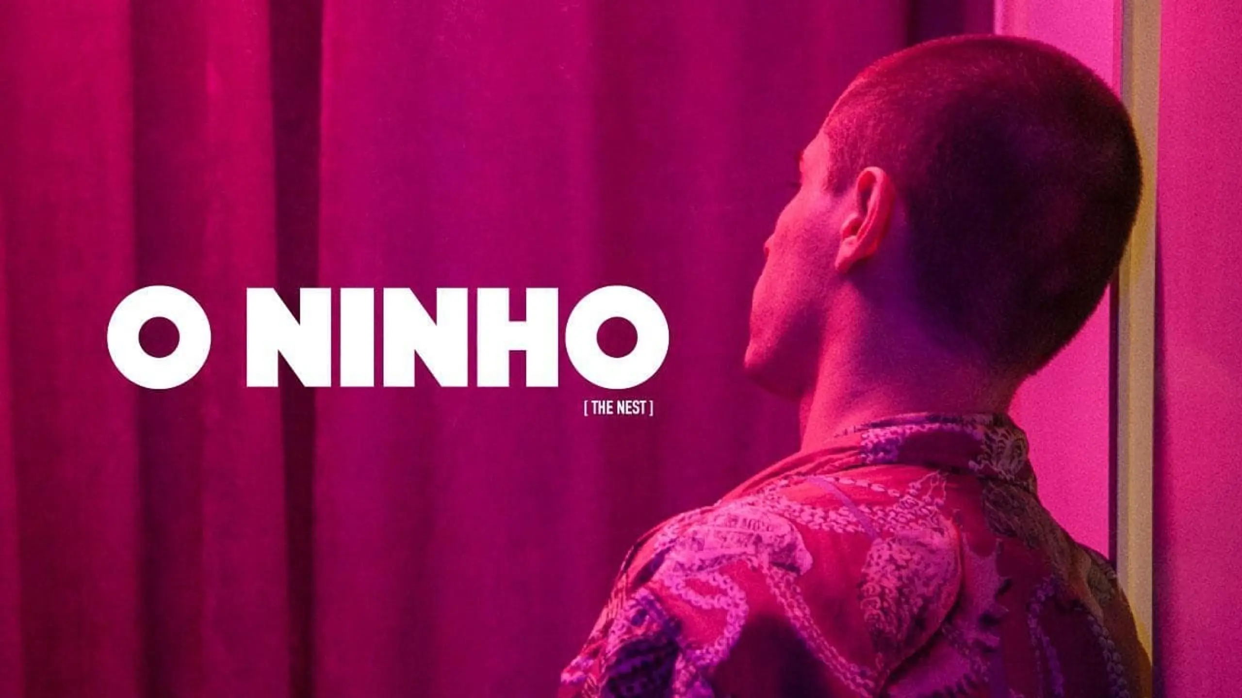 O Ninho