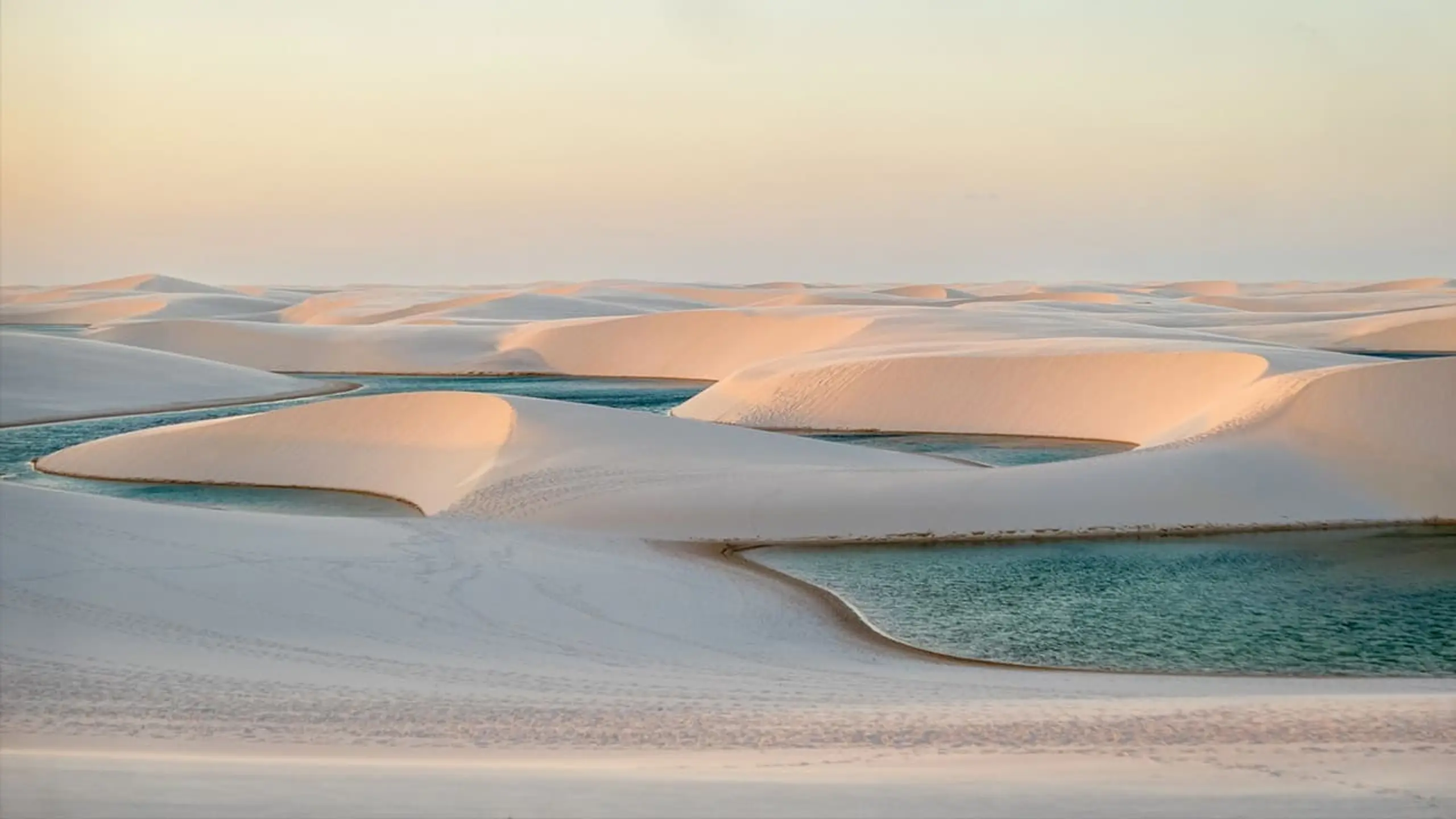 RY X - Live From Lençóis Maranhenses National Park, in Brazil for Cercle