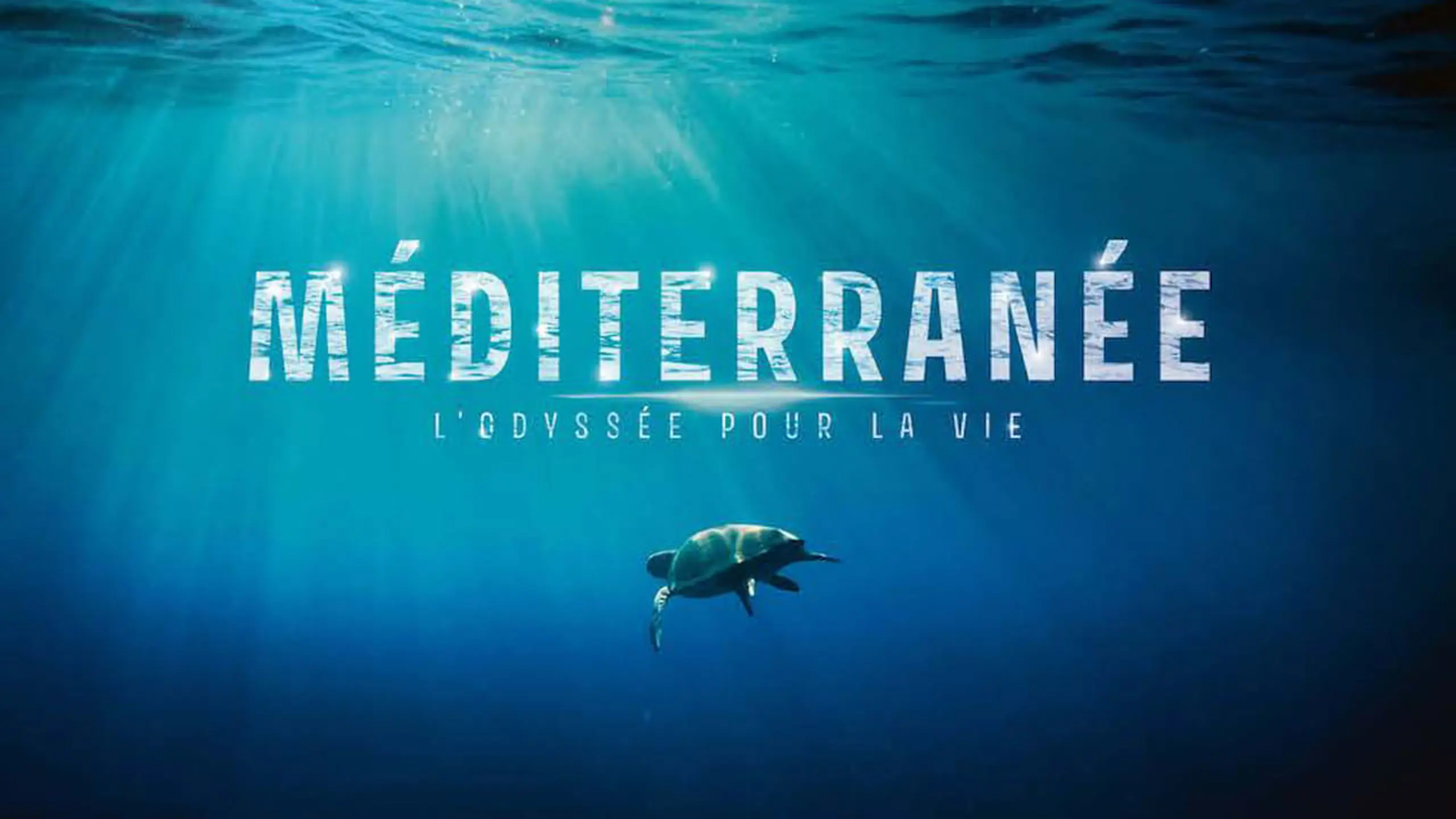 Mediterranean: Life Under Siege