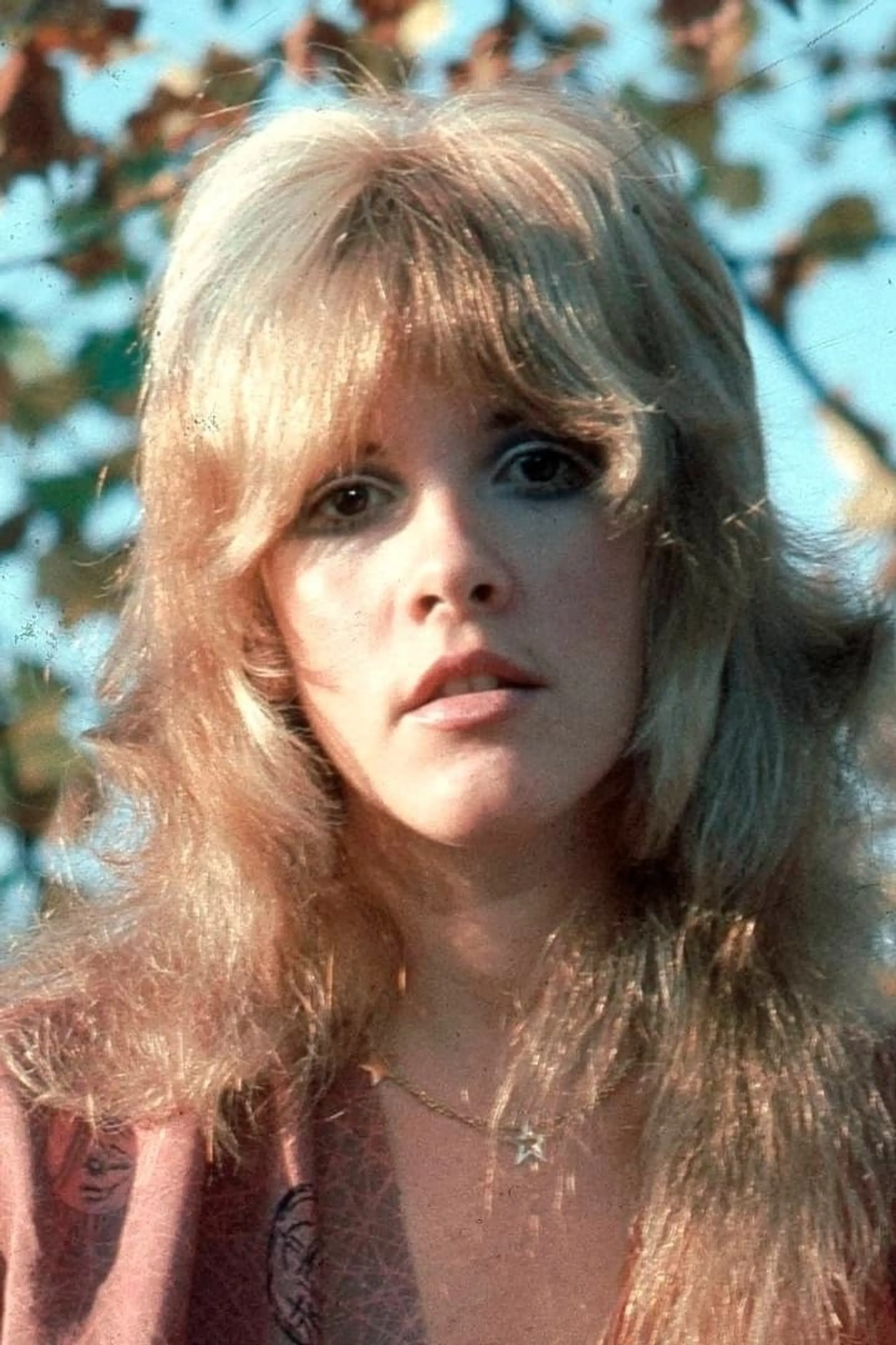 Foto von Stevie Nicks