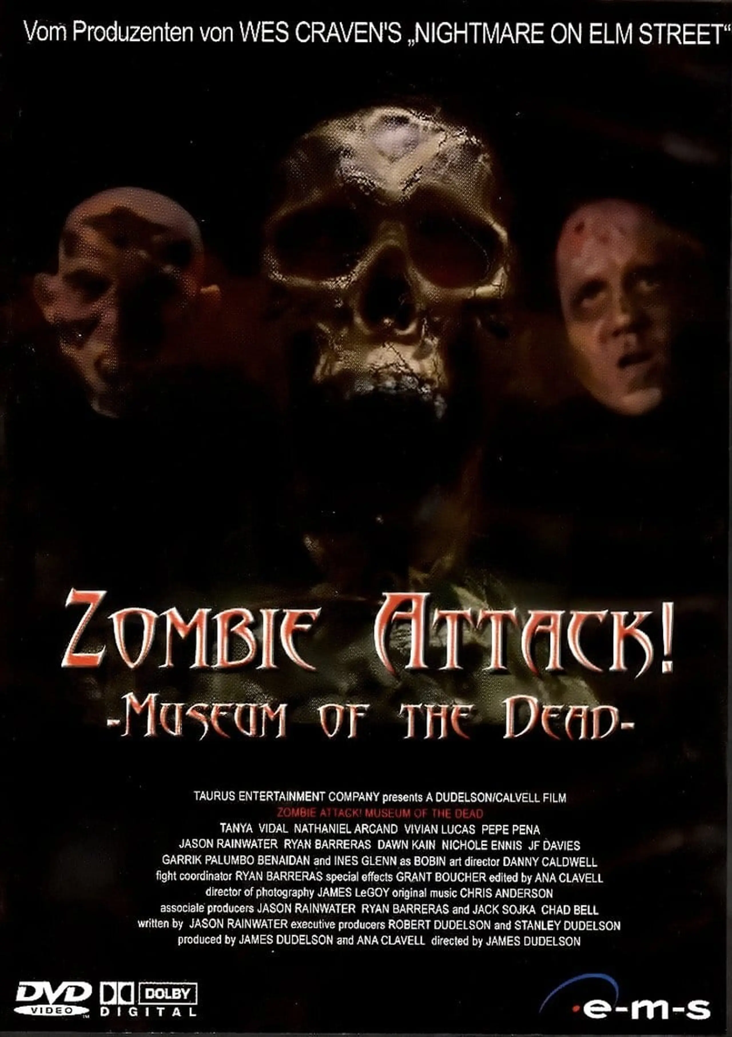 Zombie Attack: Museum of the Dead