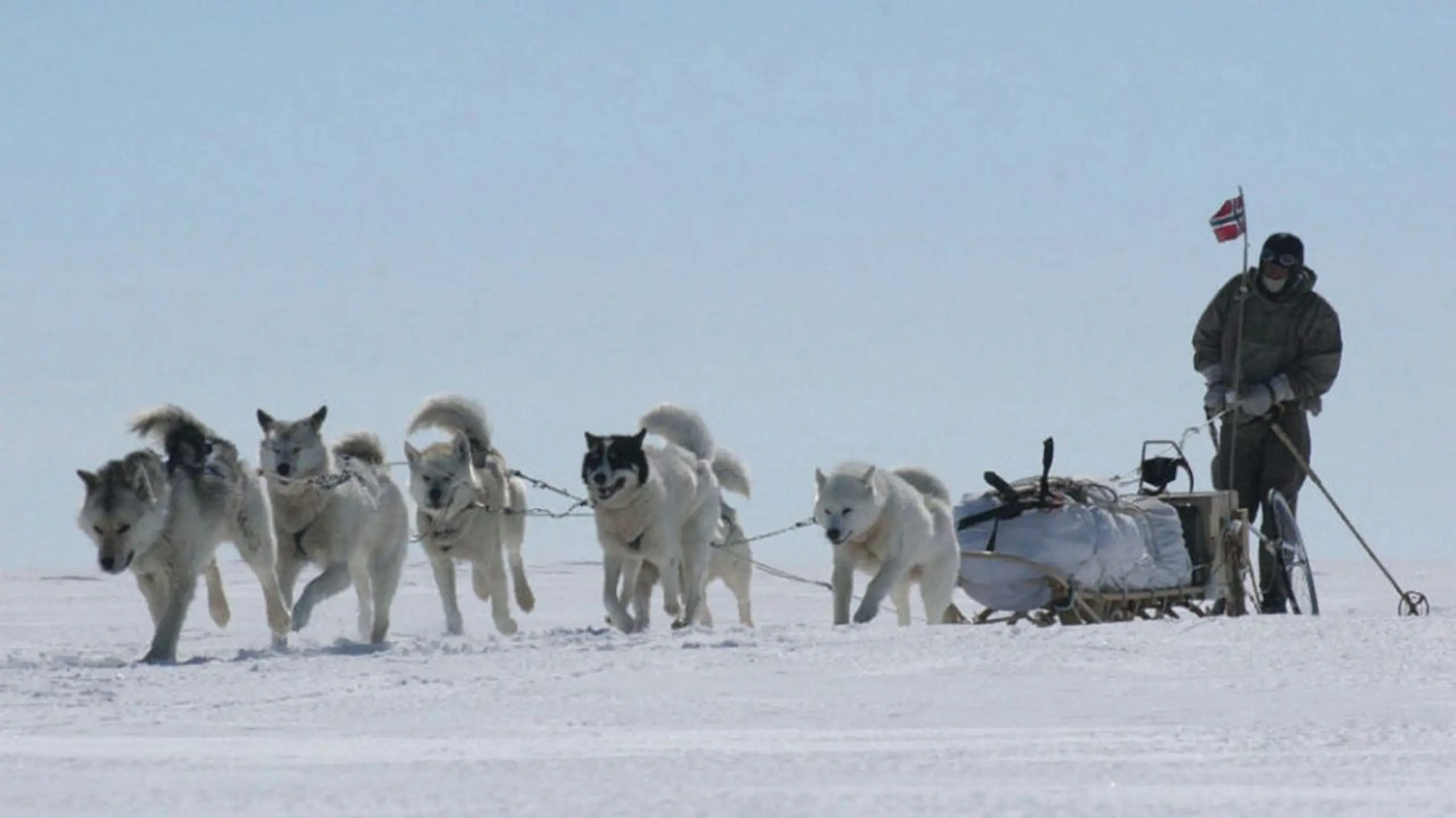 Im Wettlauf mit Scott und Amundsen