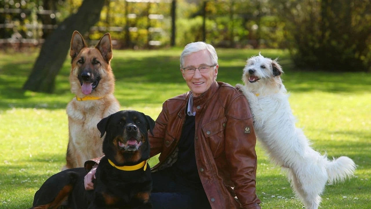 Paul O'Grady: For the Love of Dogs