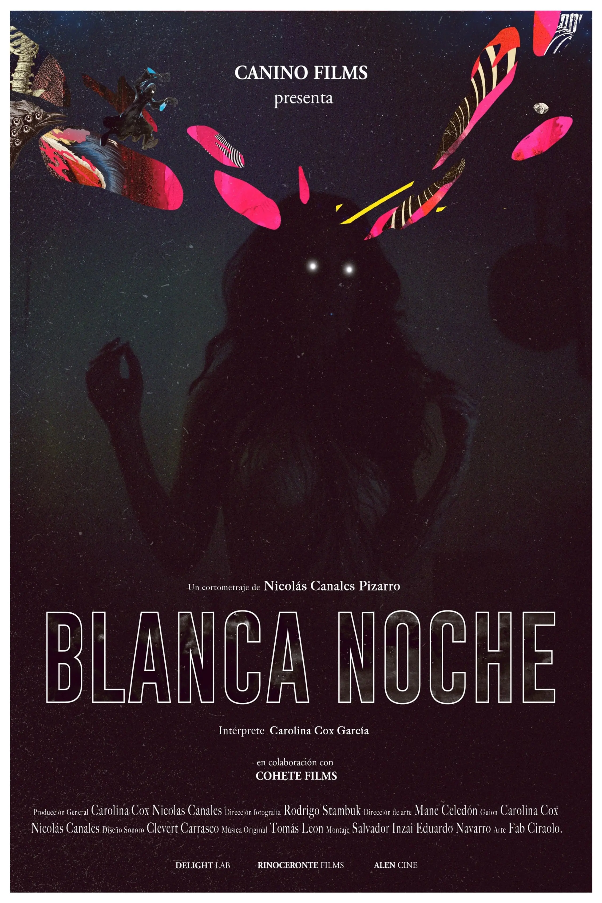 Blanca Noche