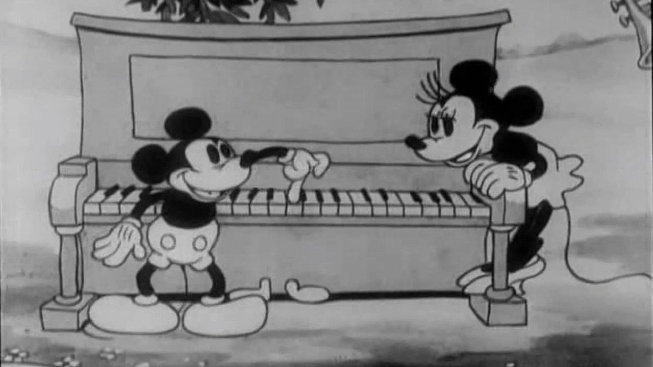 Micky's Transportservice