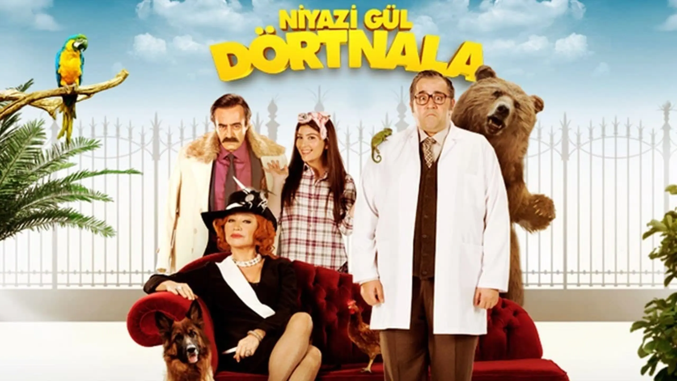 Niyazi Gül Dörtnala