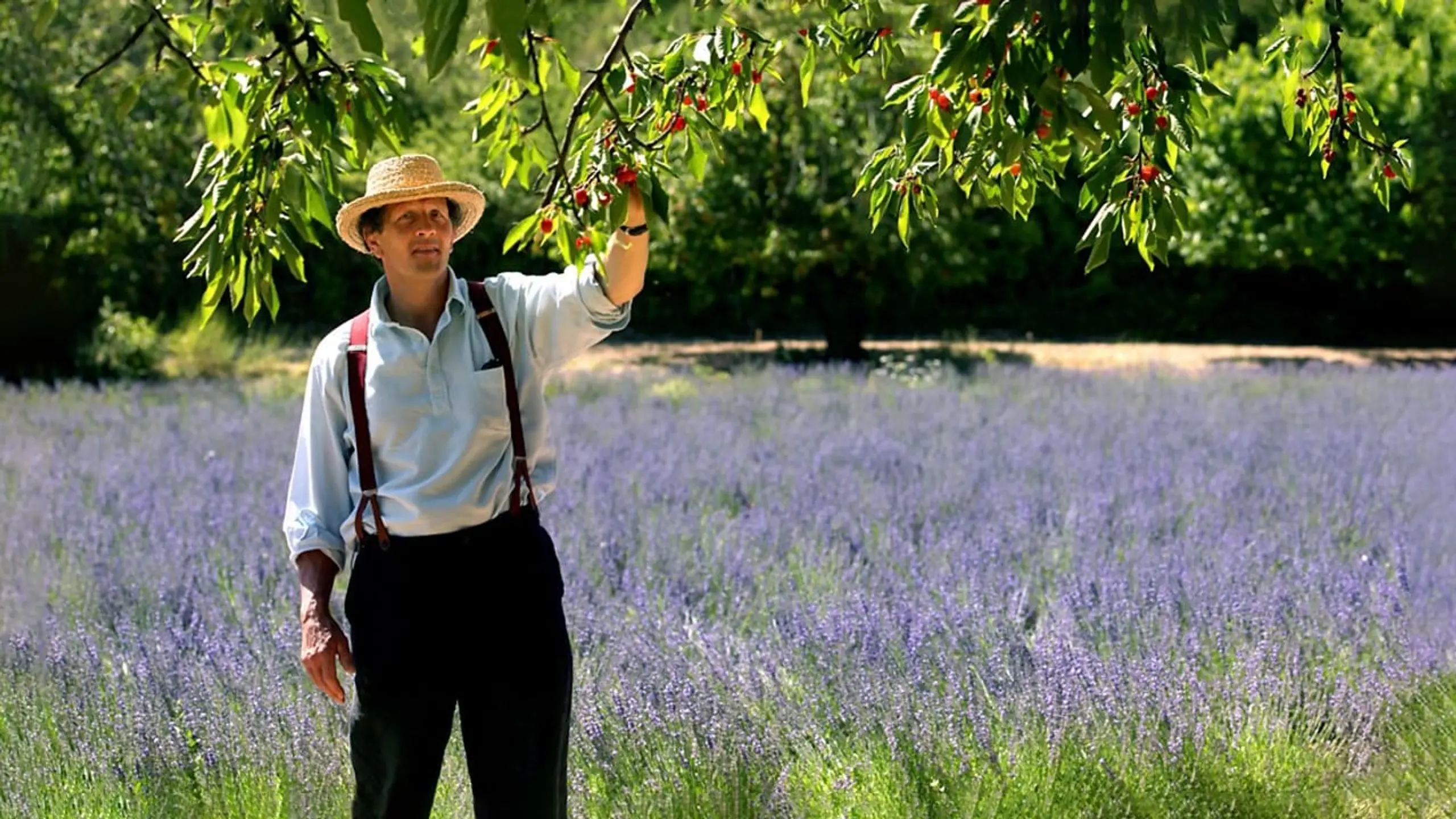 Monty Don's French Gardens