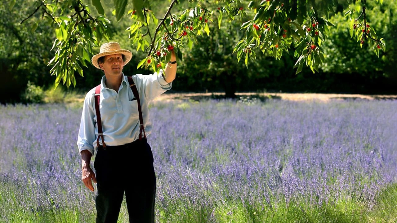 Monty Don's French Gardens