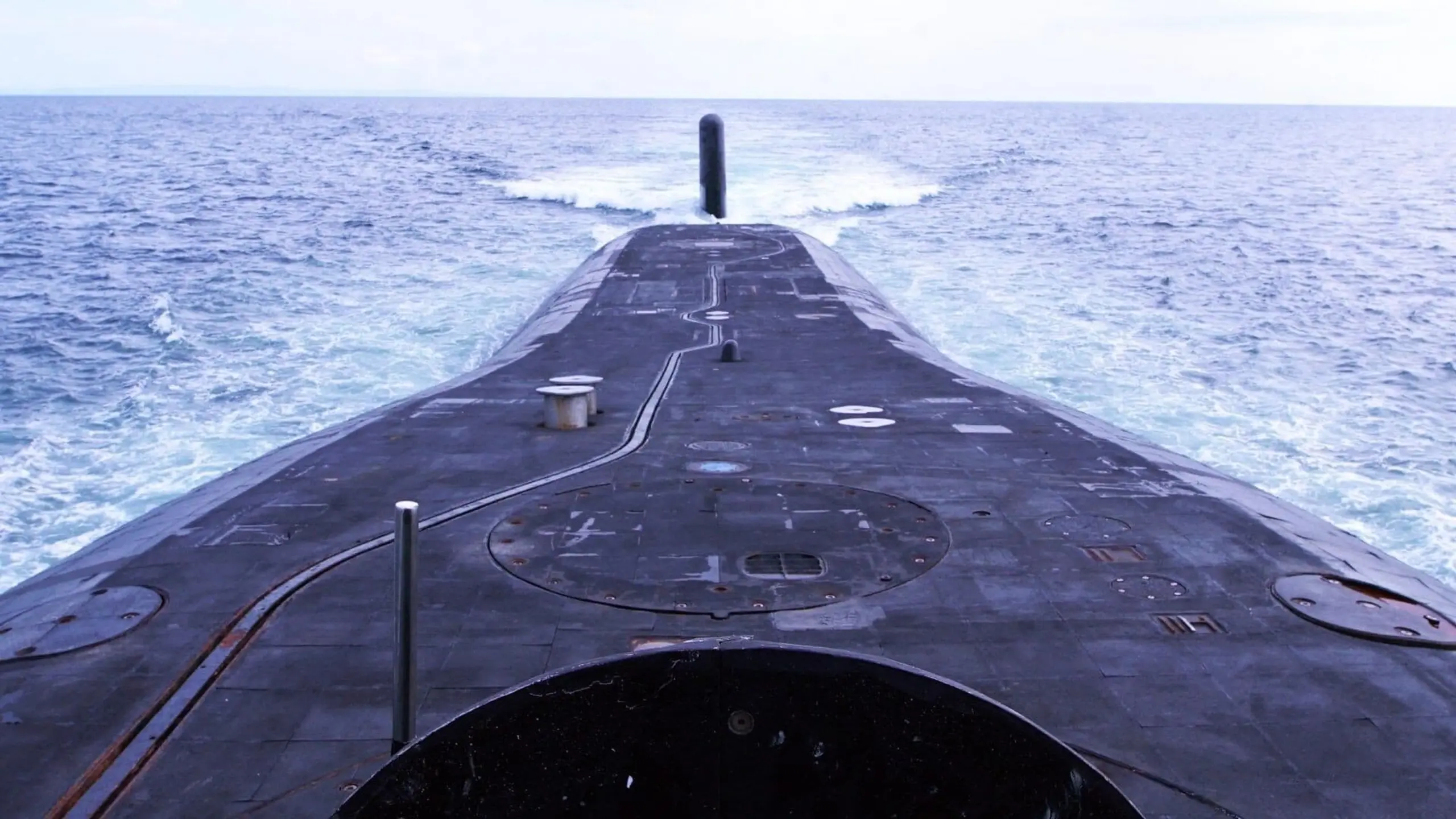 Submarine Life Under the Waves