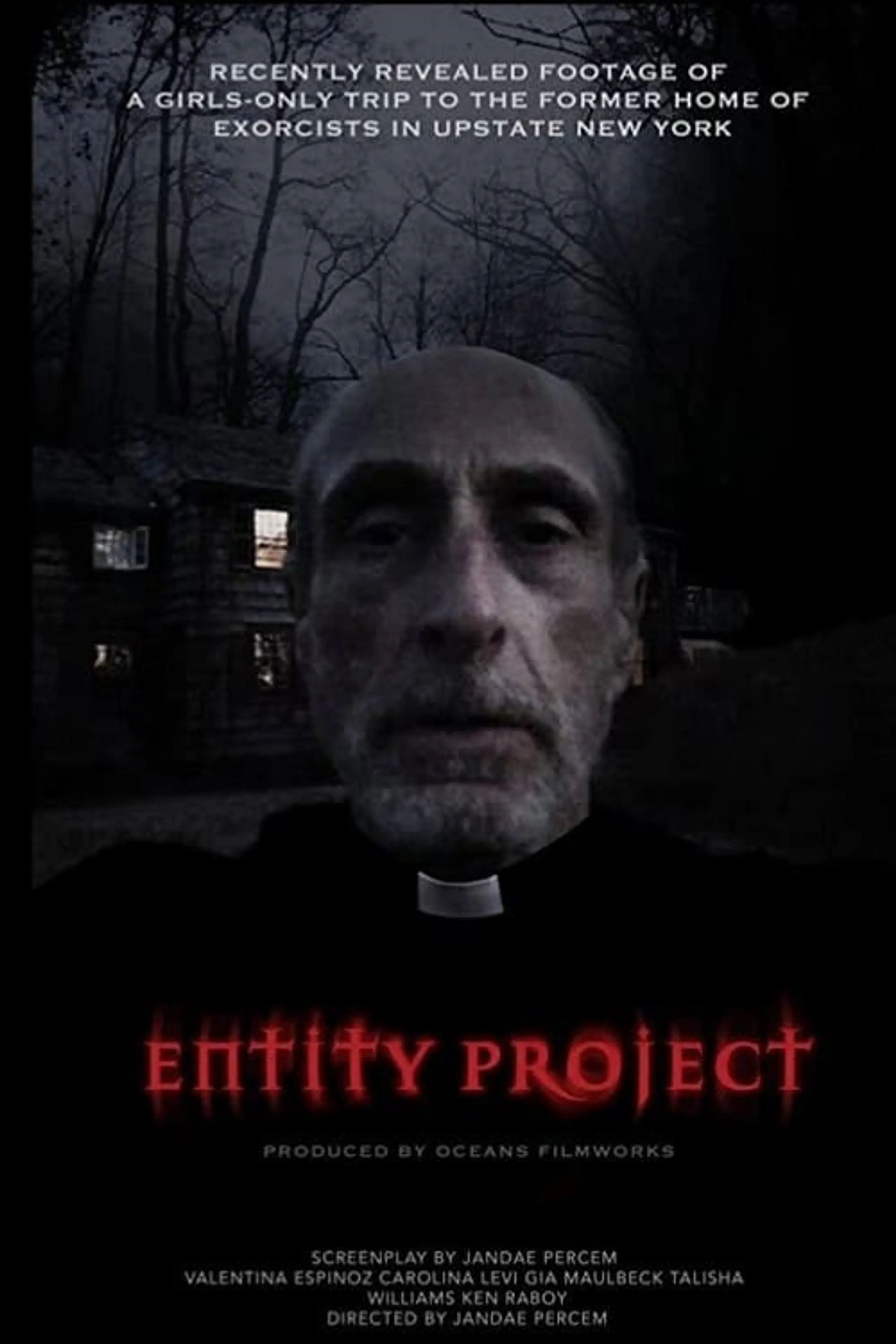 Entity Project