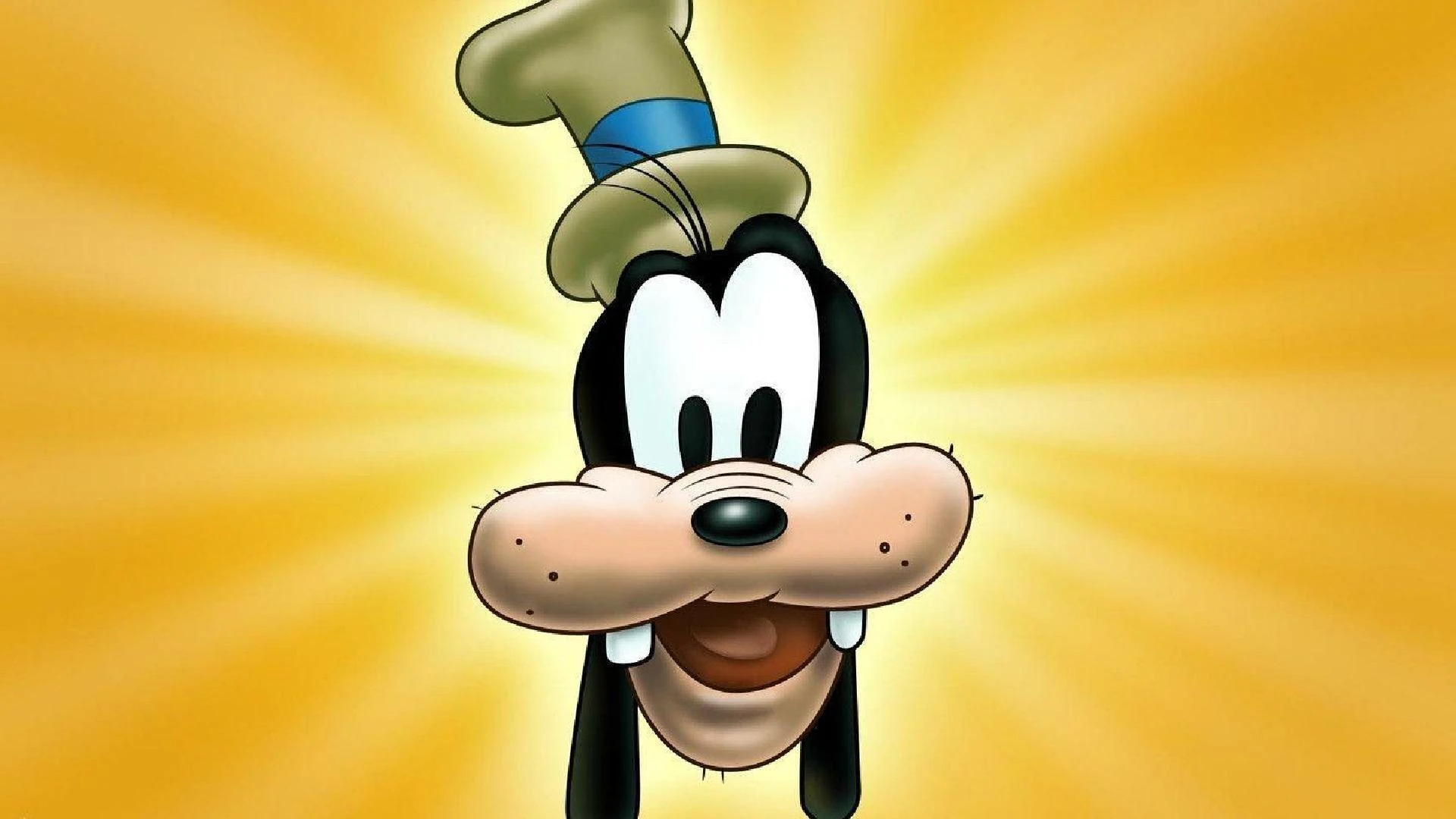Walt Disney Kostbarkeiten - Goofys gesammelte Geschichten