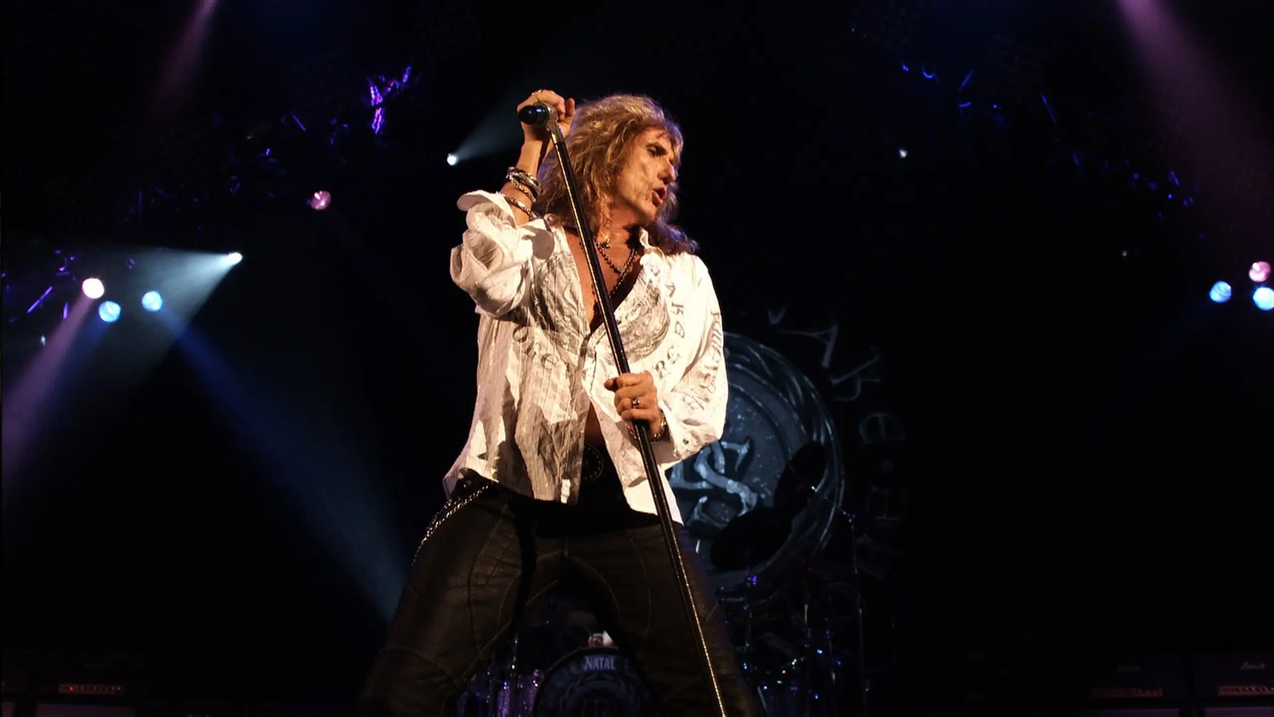 Whitesnake: The Purple Tour