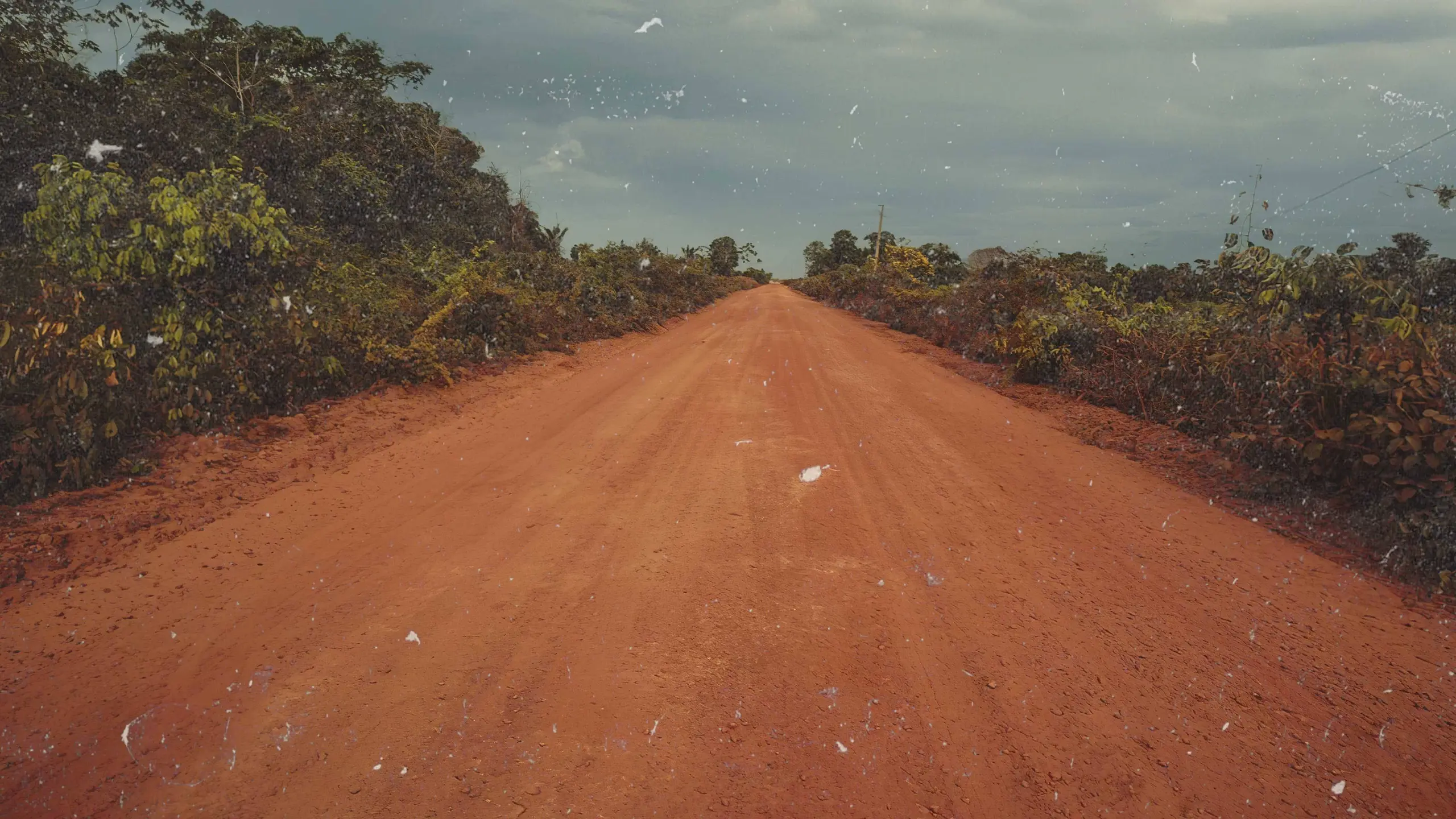 Transamazônica: Uma Estrada para o Passado