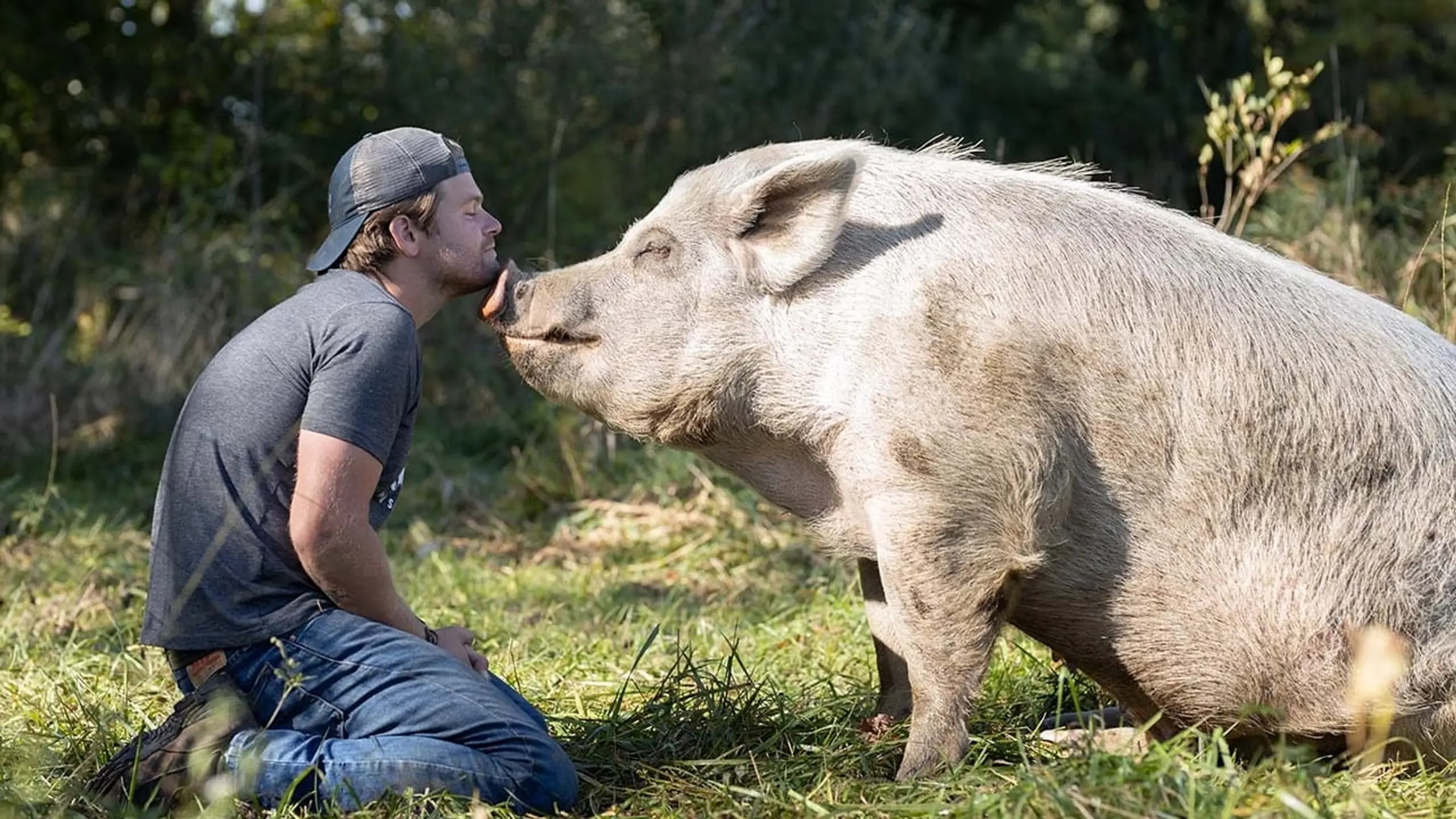 Saved By The Barn