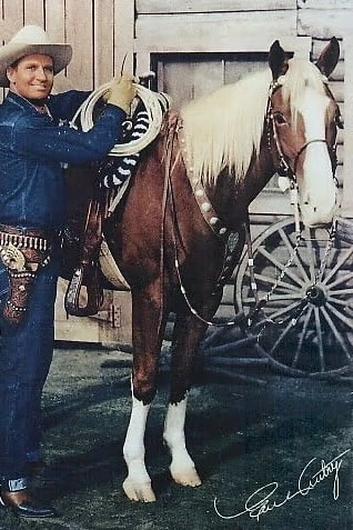 Foto von Champion