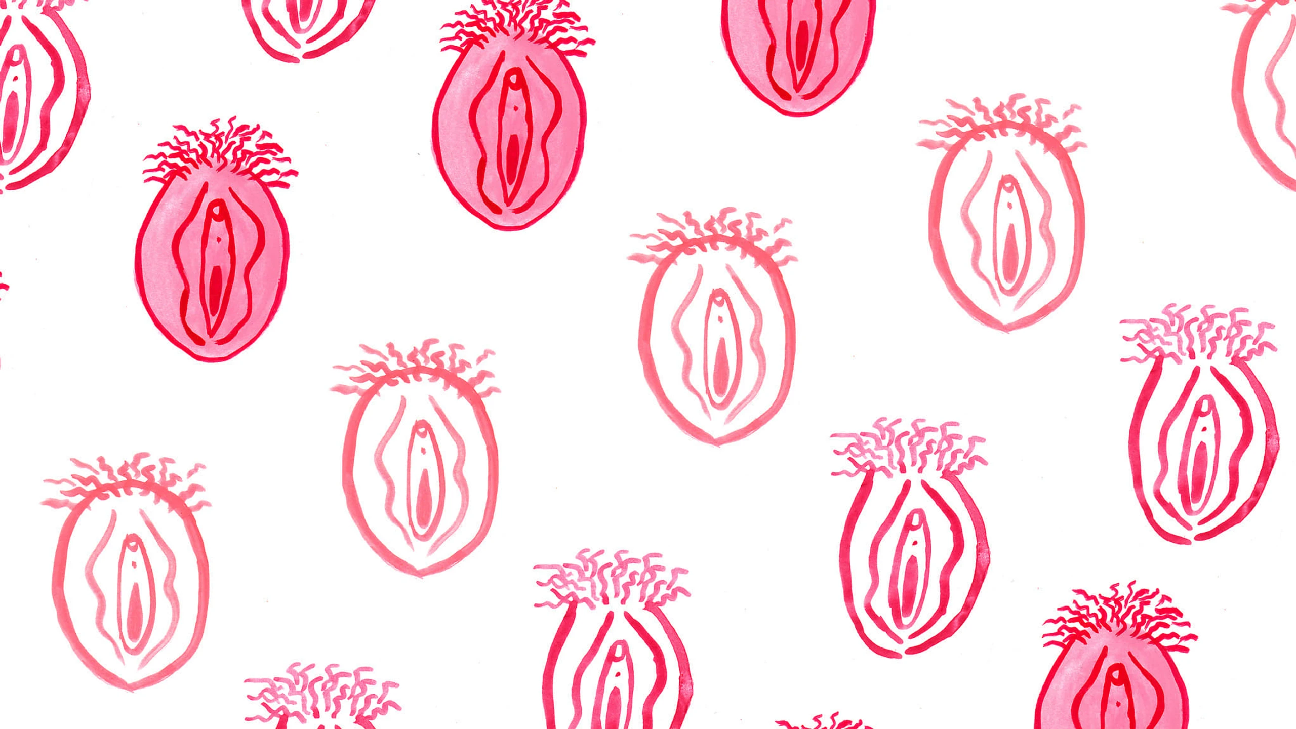 Le Clitoris