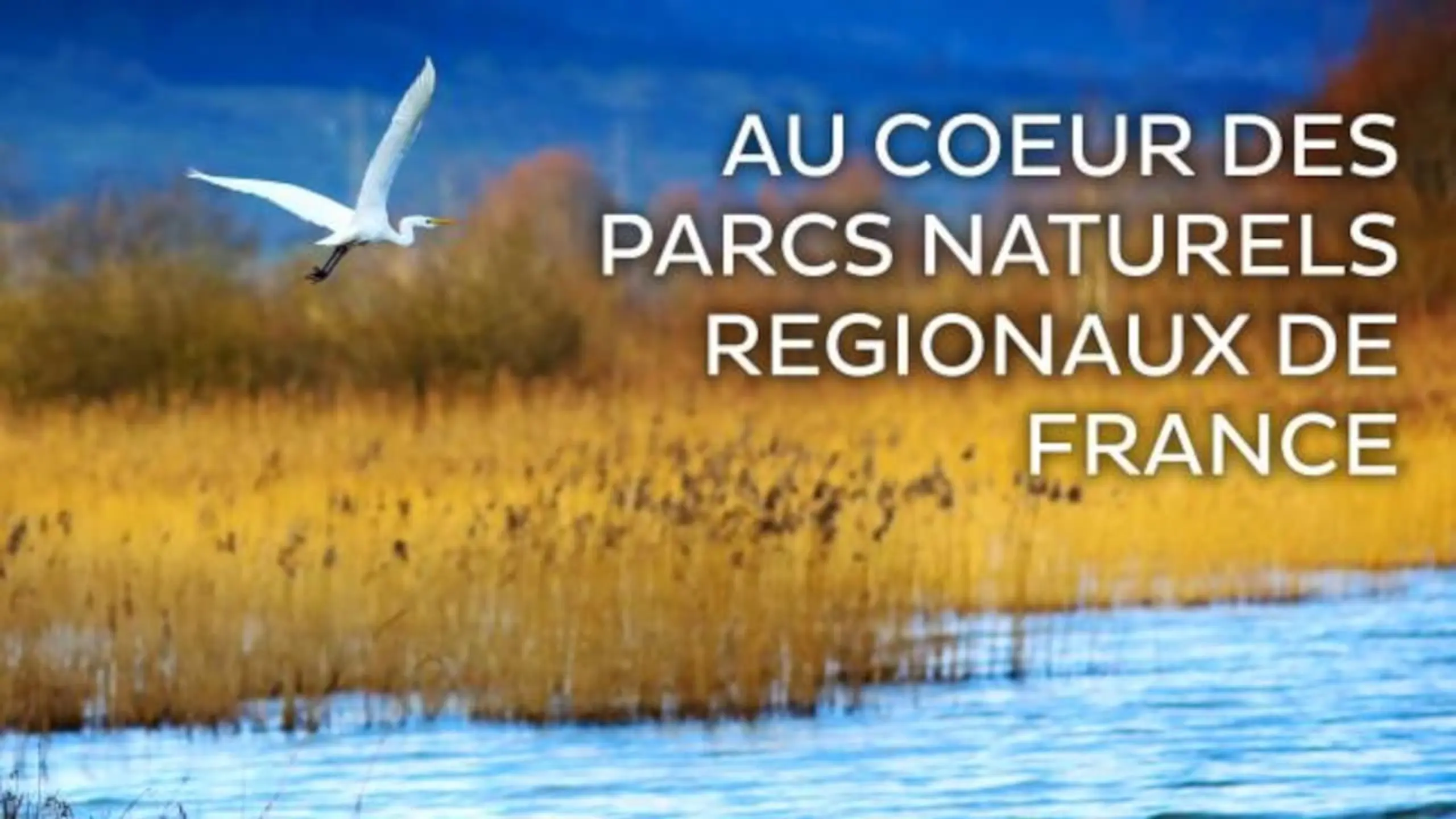 Au coeur des parcs régionaux naturels de France