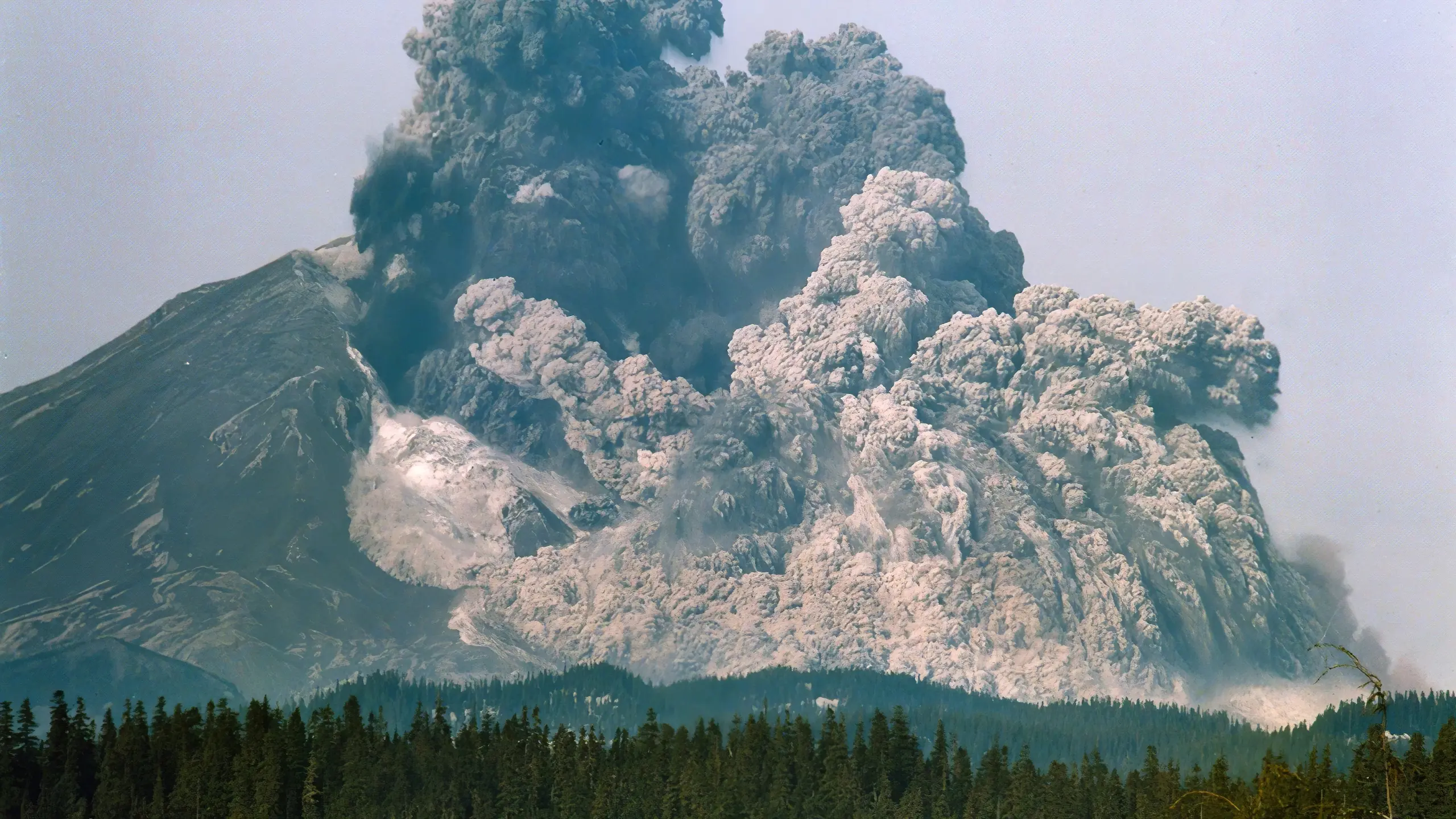 Survivre à la catastrophe du Mont St. Helens