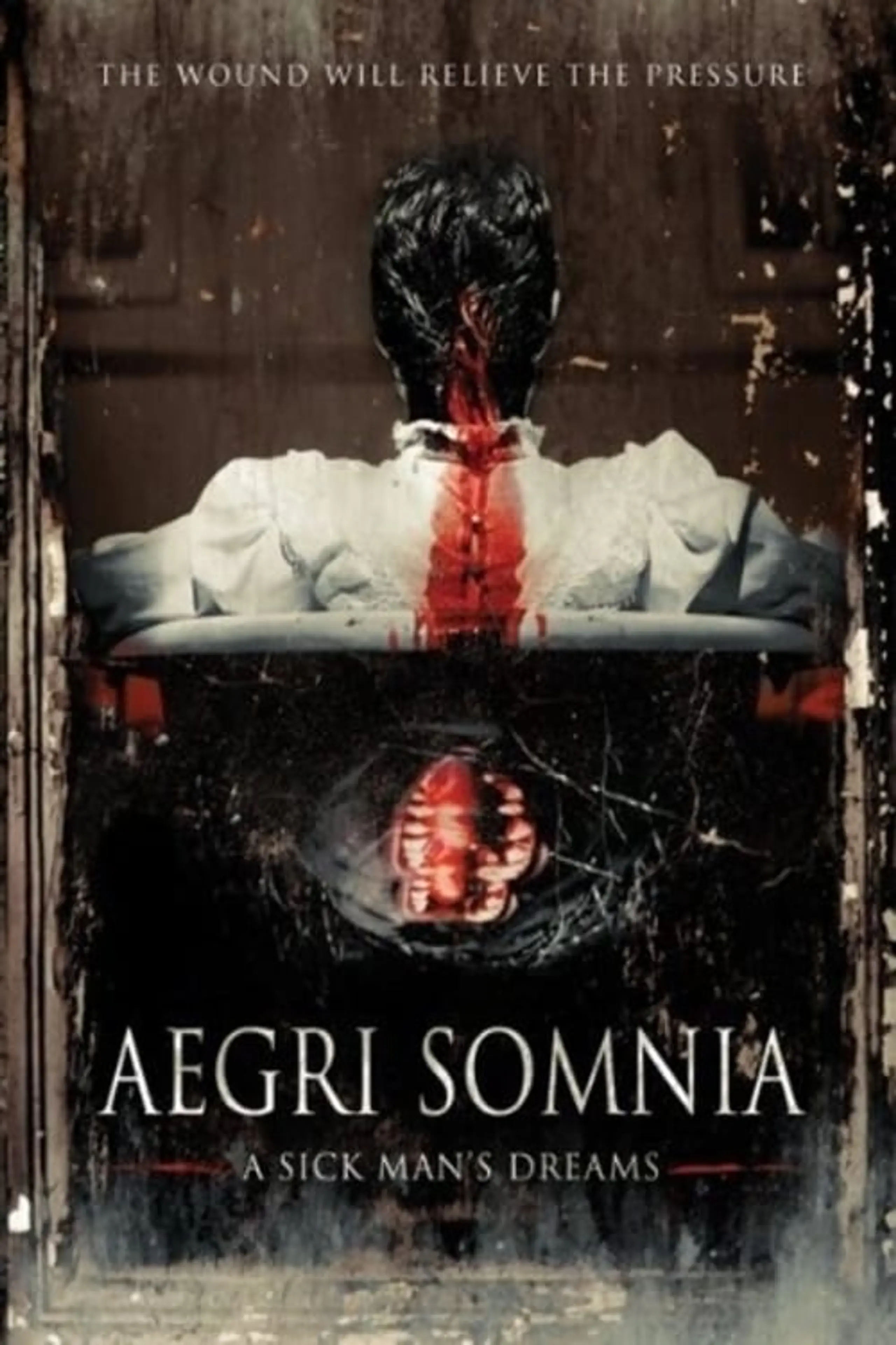 Aegri Somnia