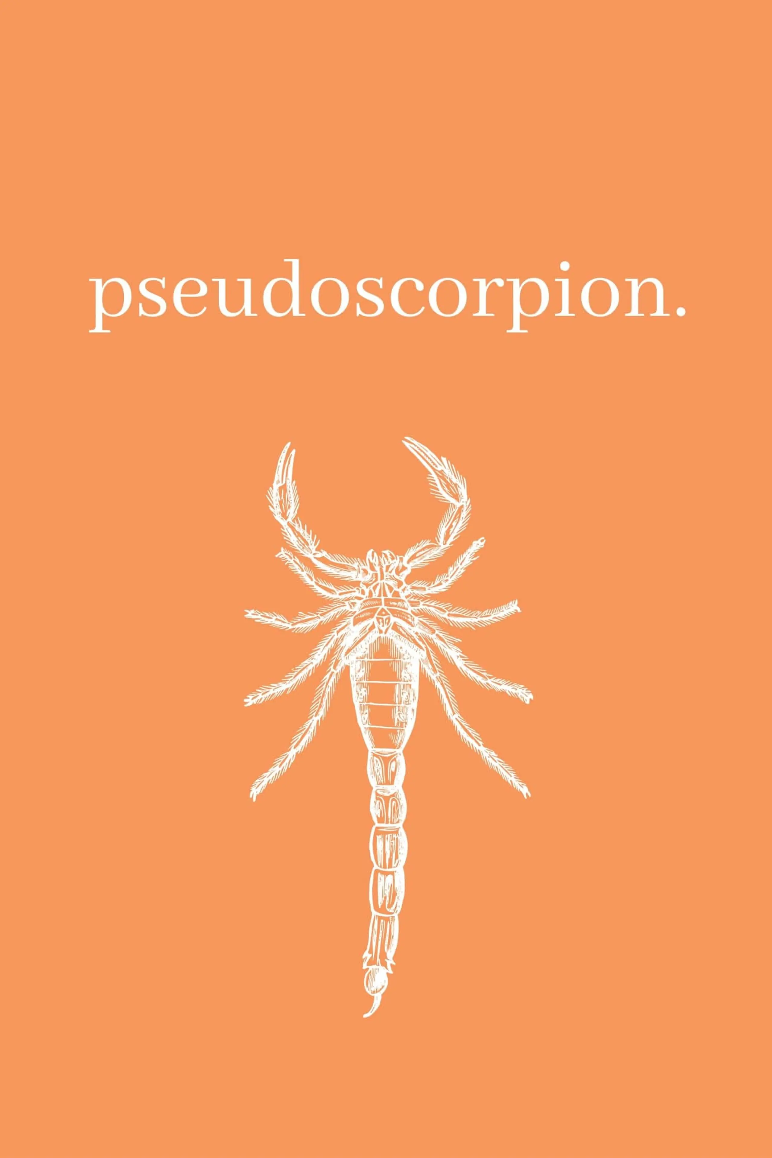 Pseudoscorpion