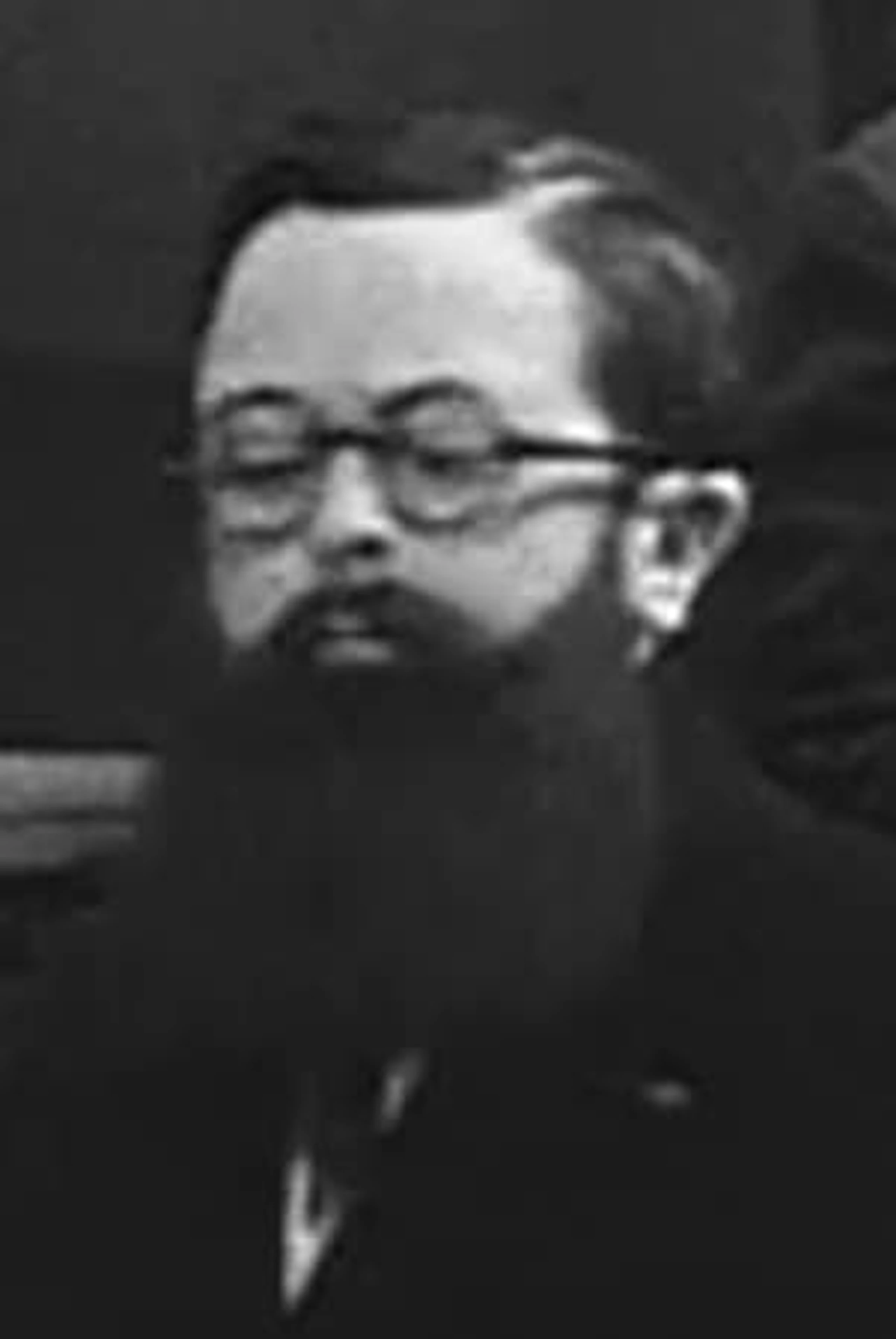 Foto von Delphin