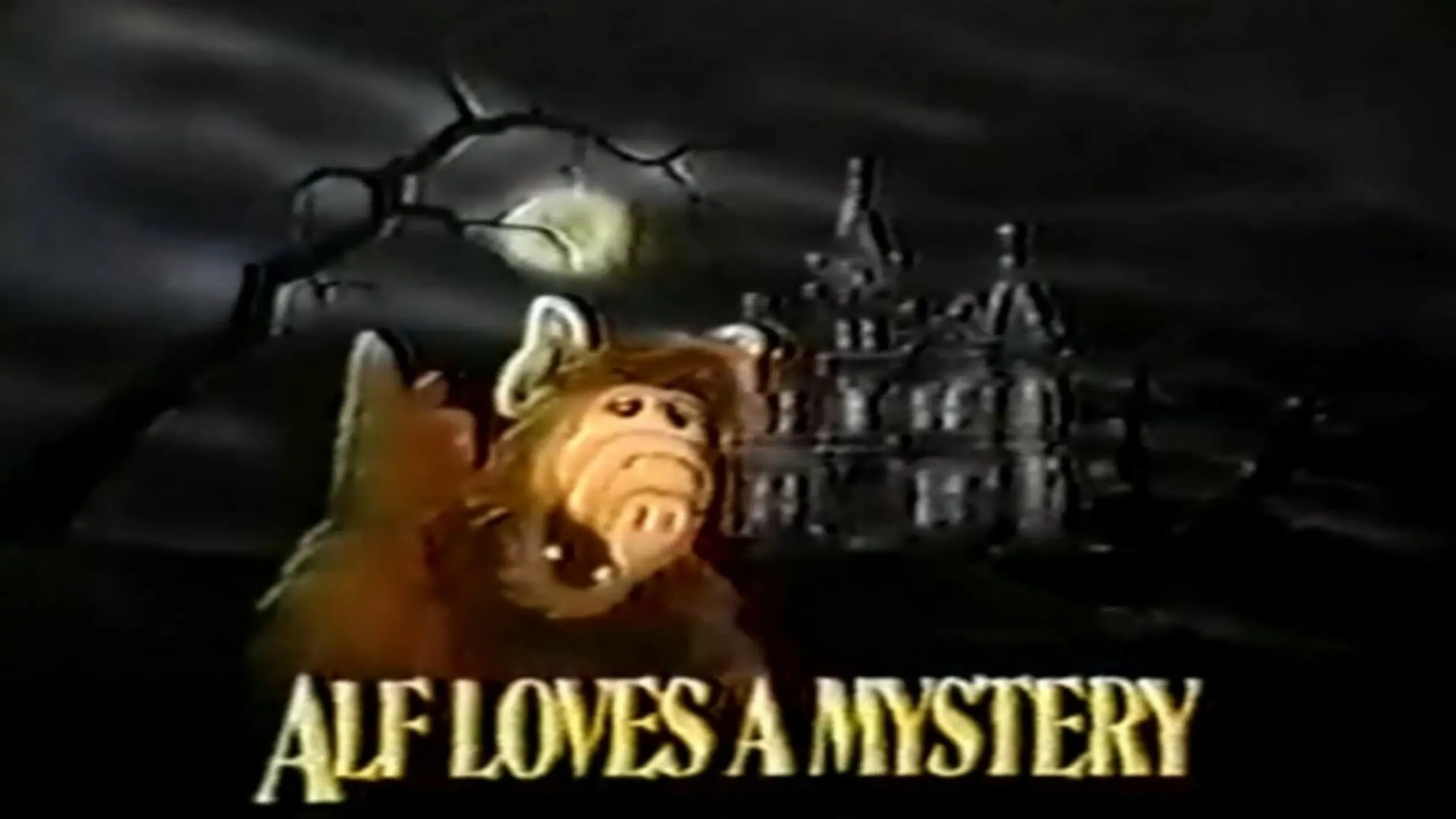 Alf Loves a Mystery