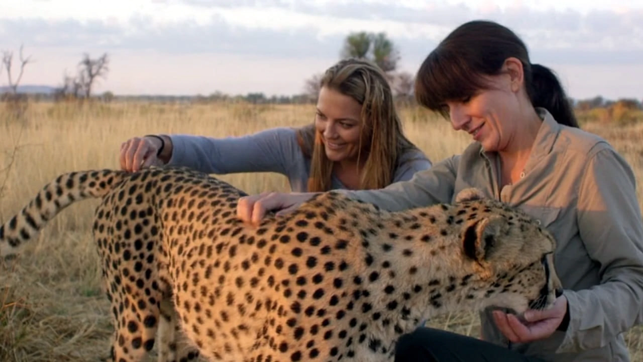 Davina McCall: Life at the Extreme