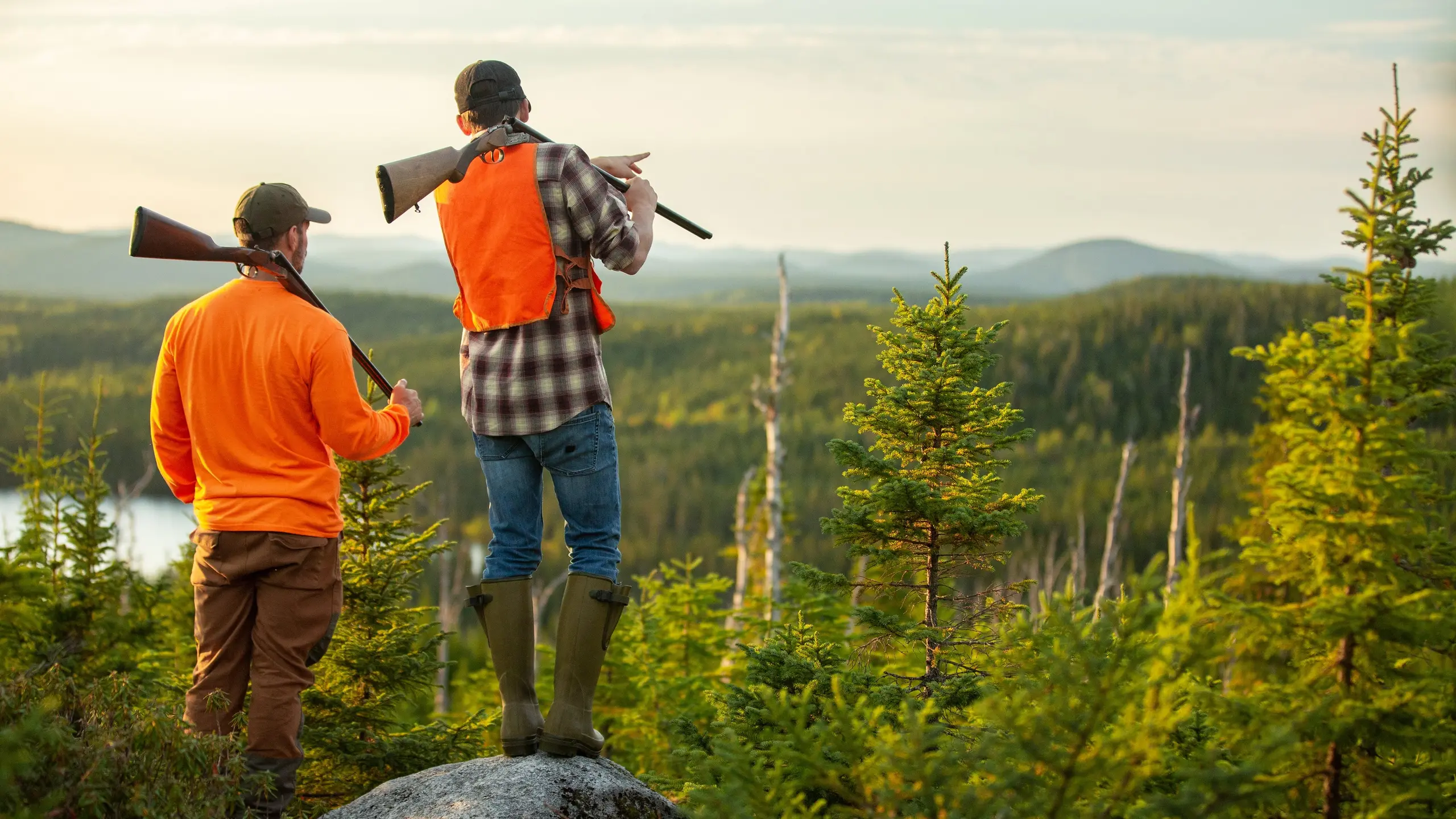 Hooké à la chasse