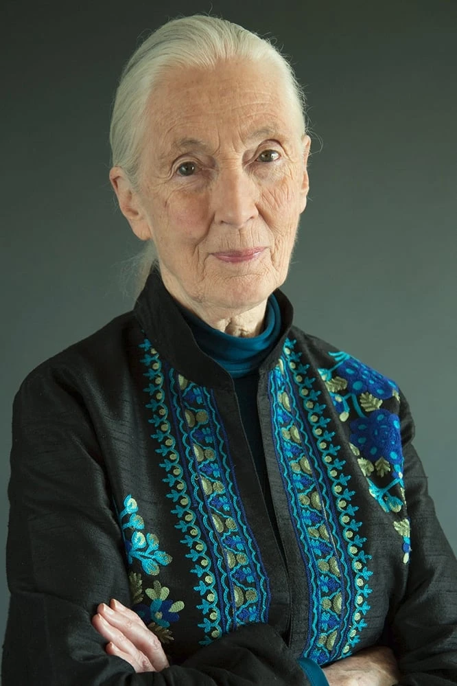 Foto von Jane Goodall