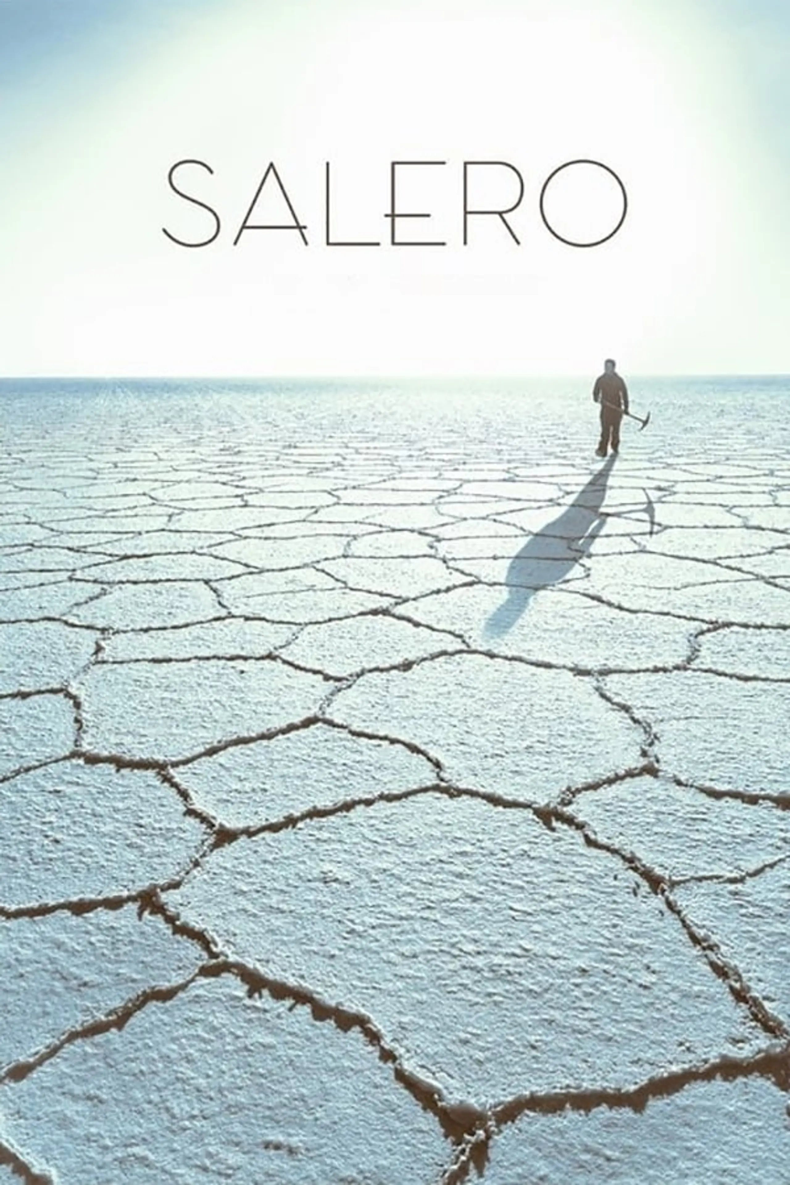 Salero - Salzsammler