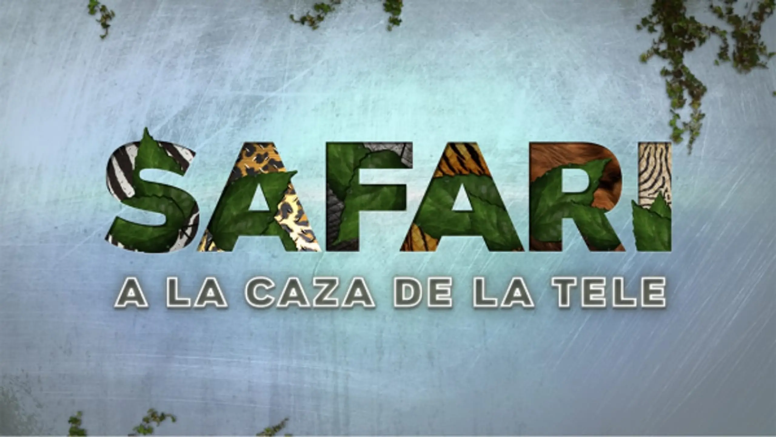 Safari: A la caza de la tele