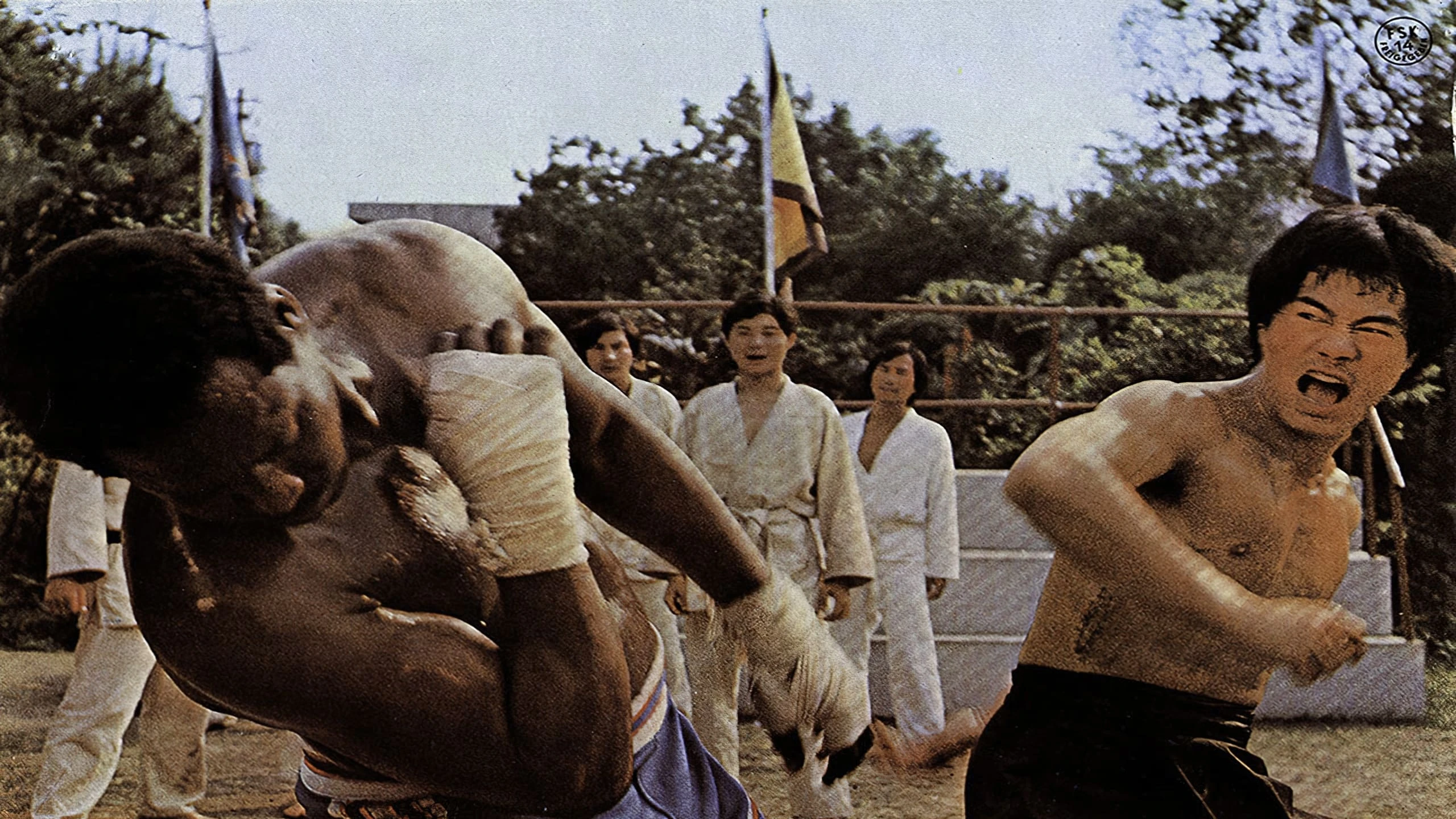 Bruce Lee - Gigant des Kung Fu