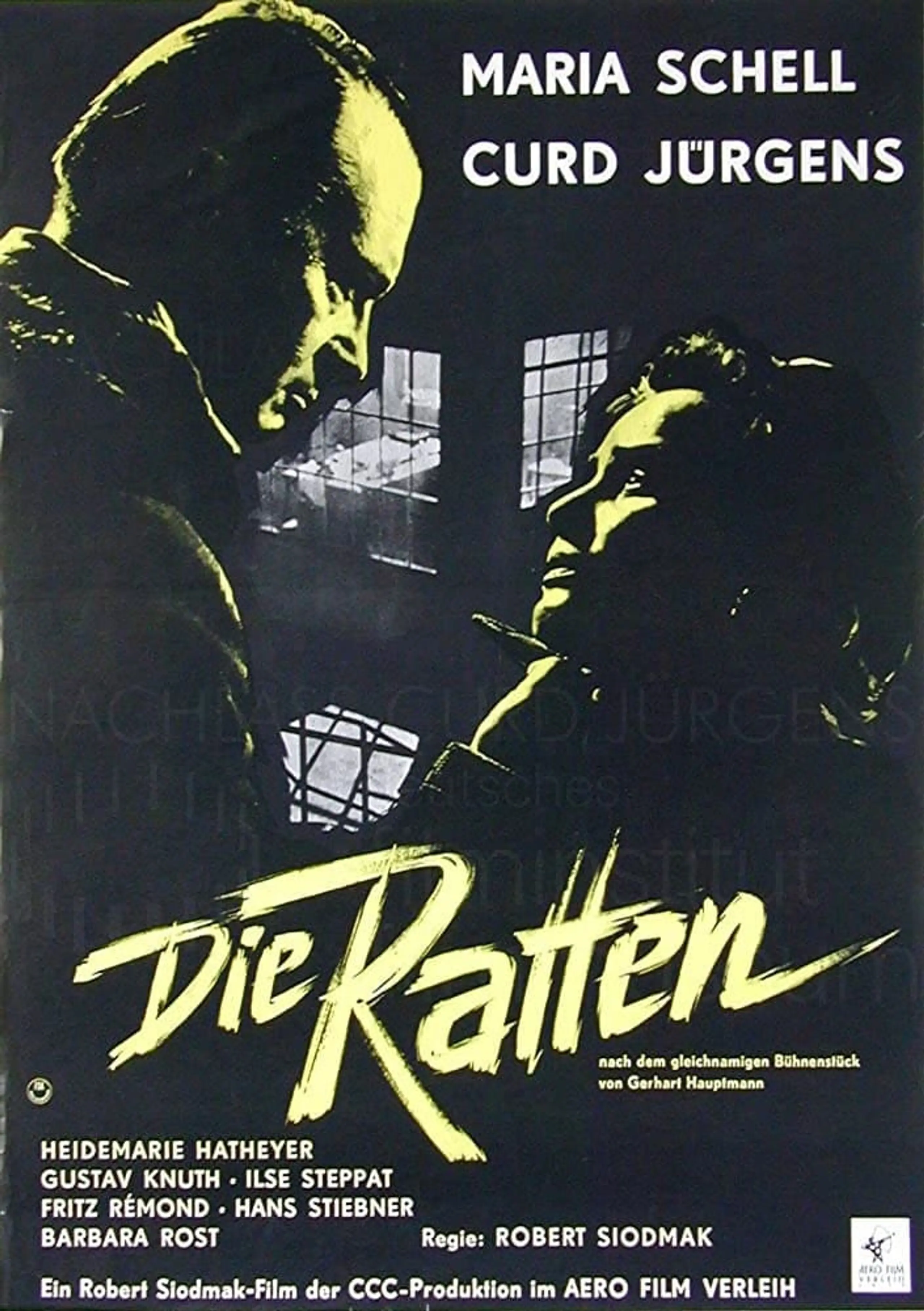 Die Ratten