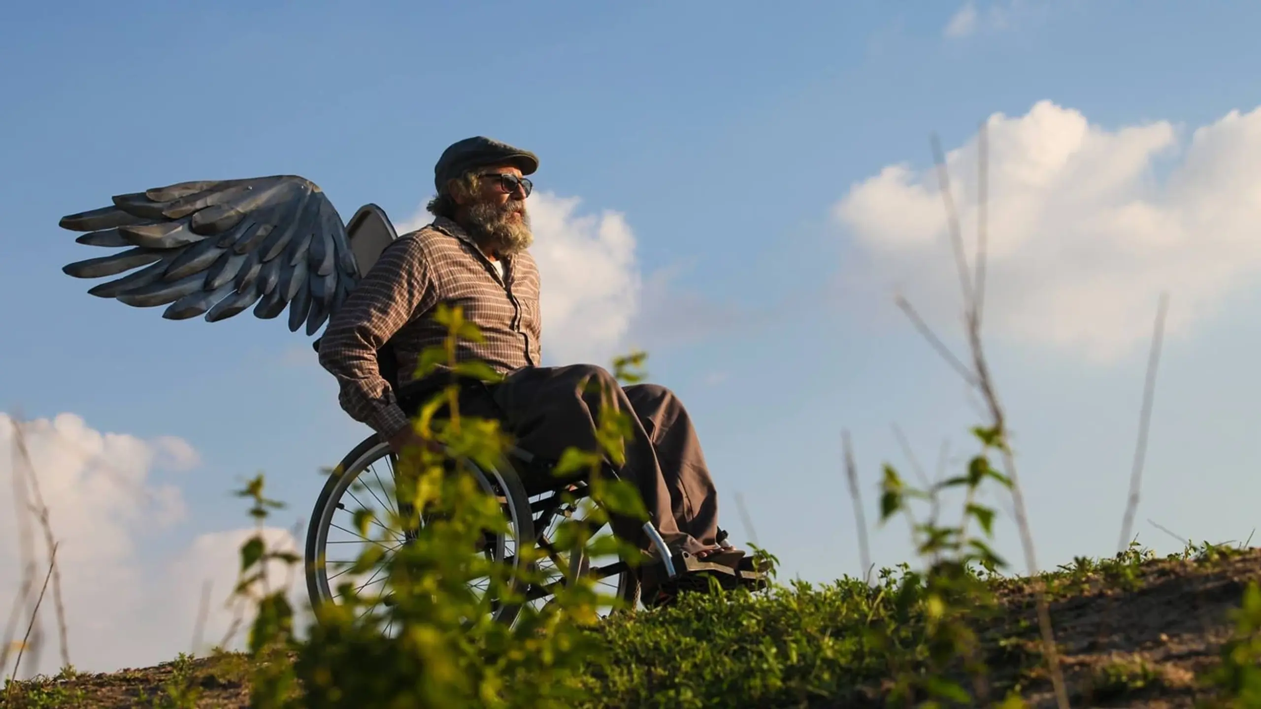 A Bicicleta do Vovô