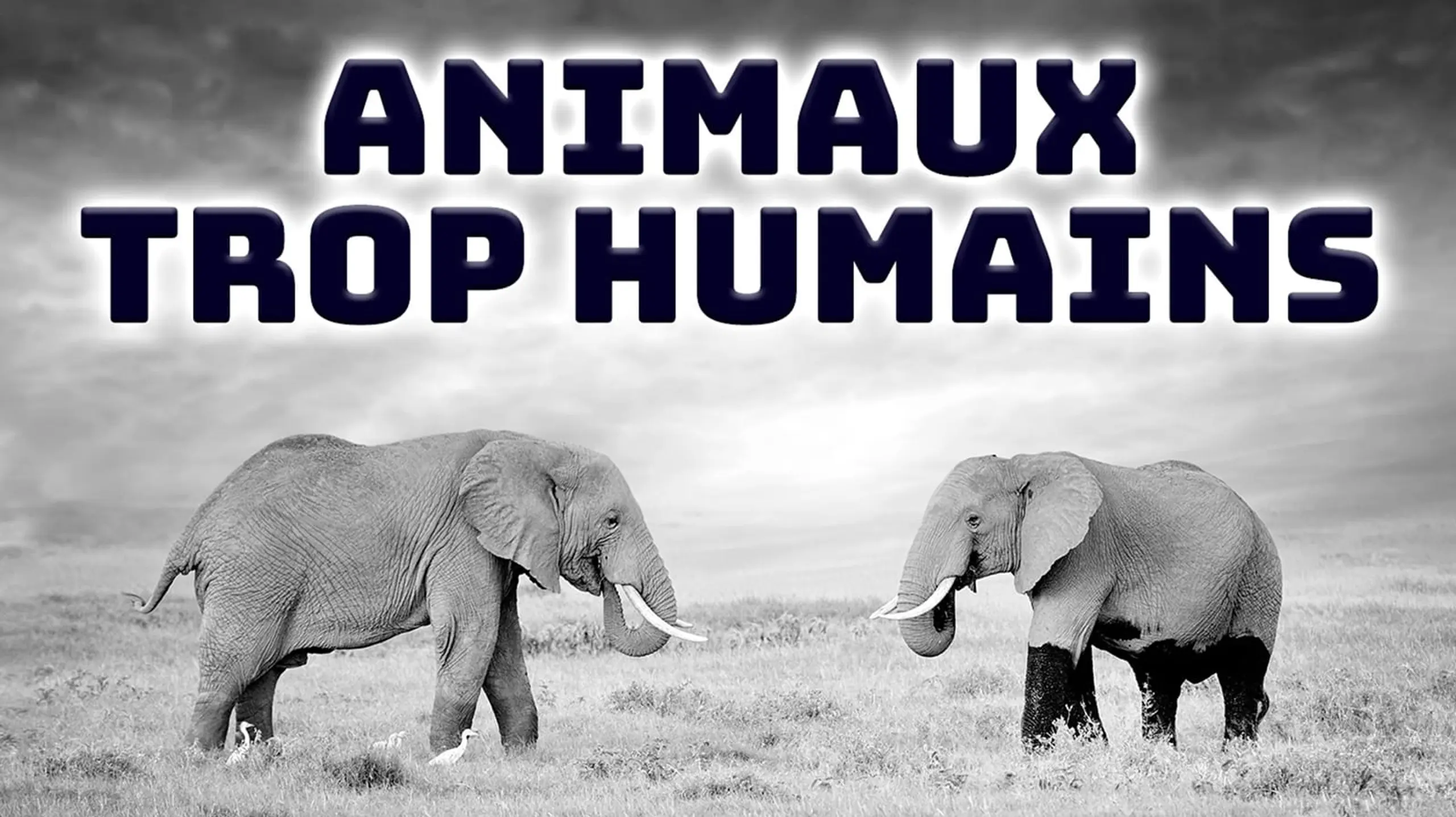 Animaux trop humains