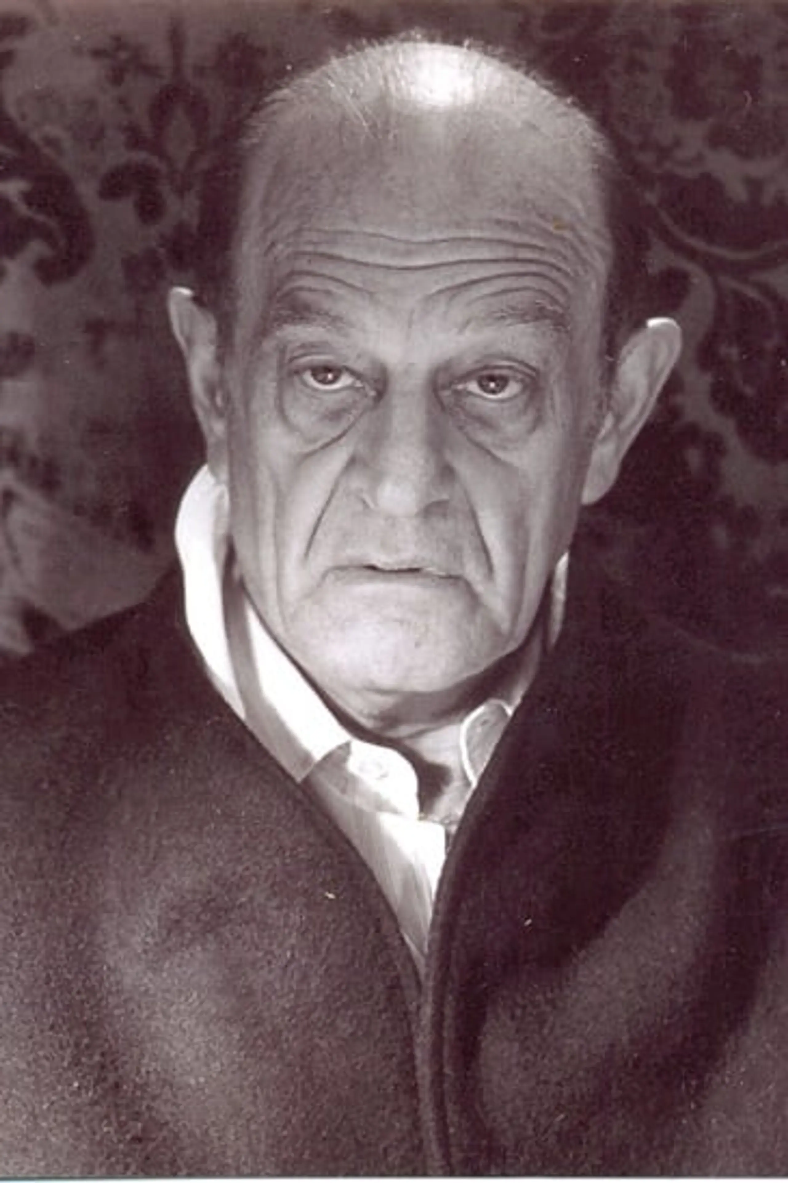 Foto von István Lénárt