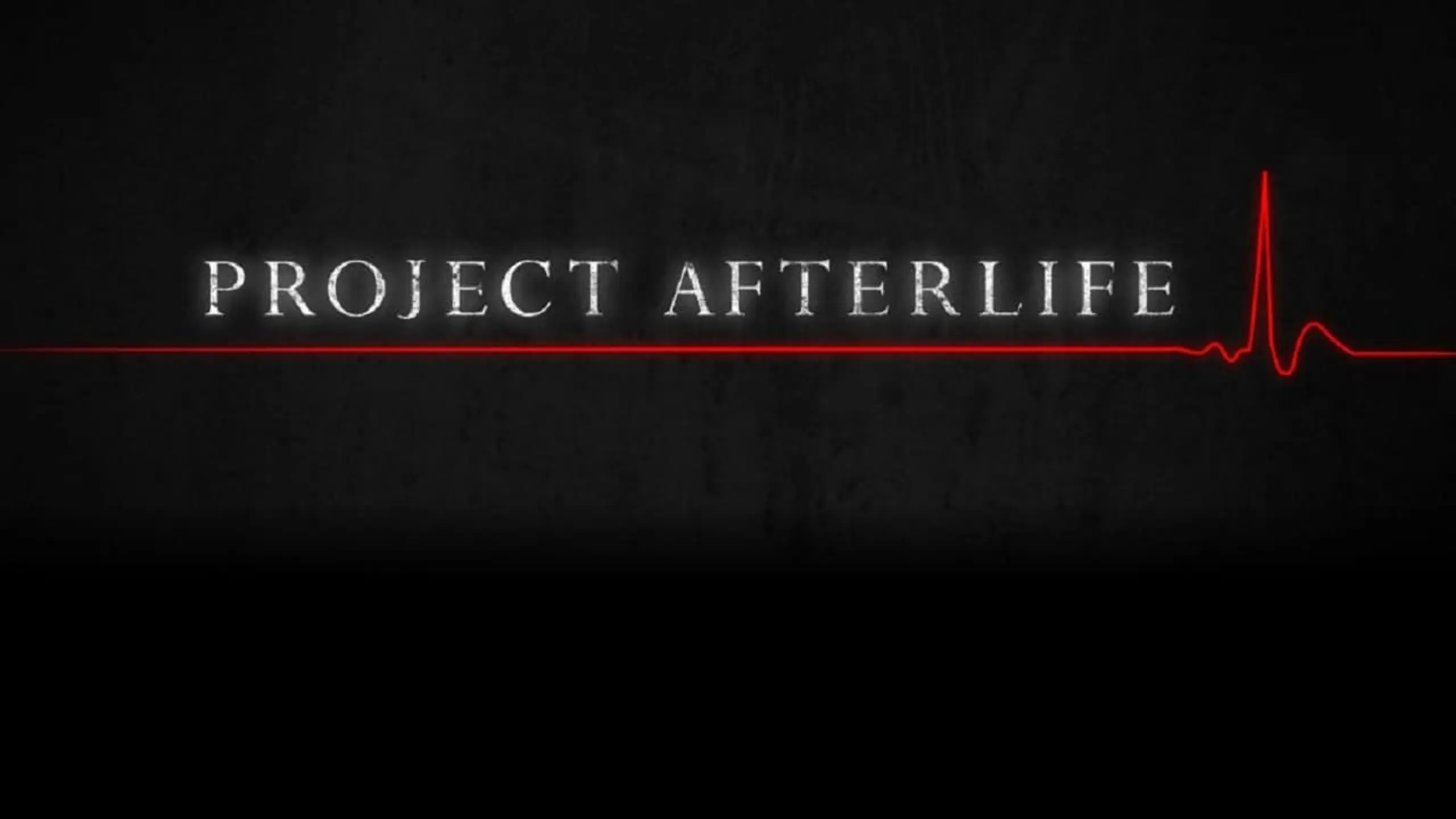 Project Afterlife