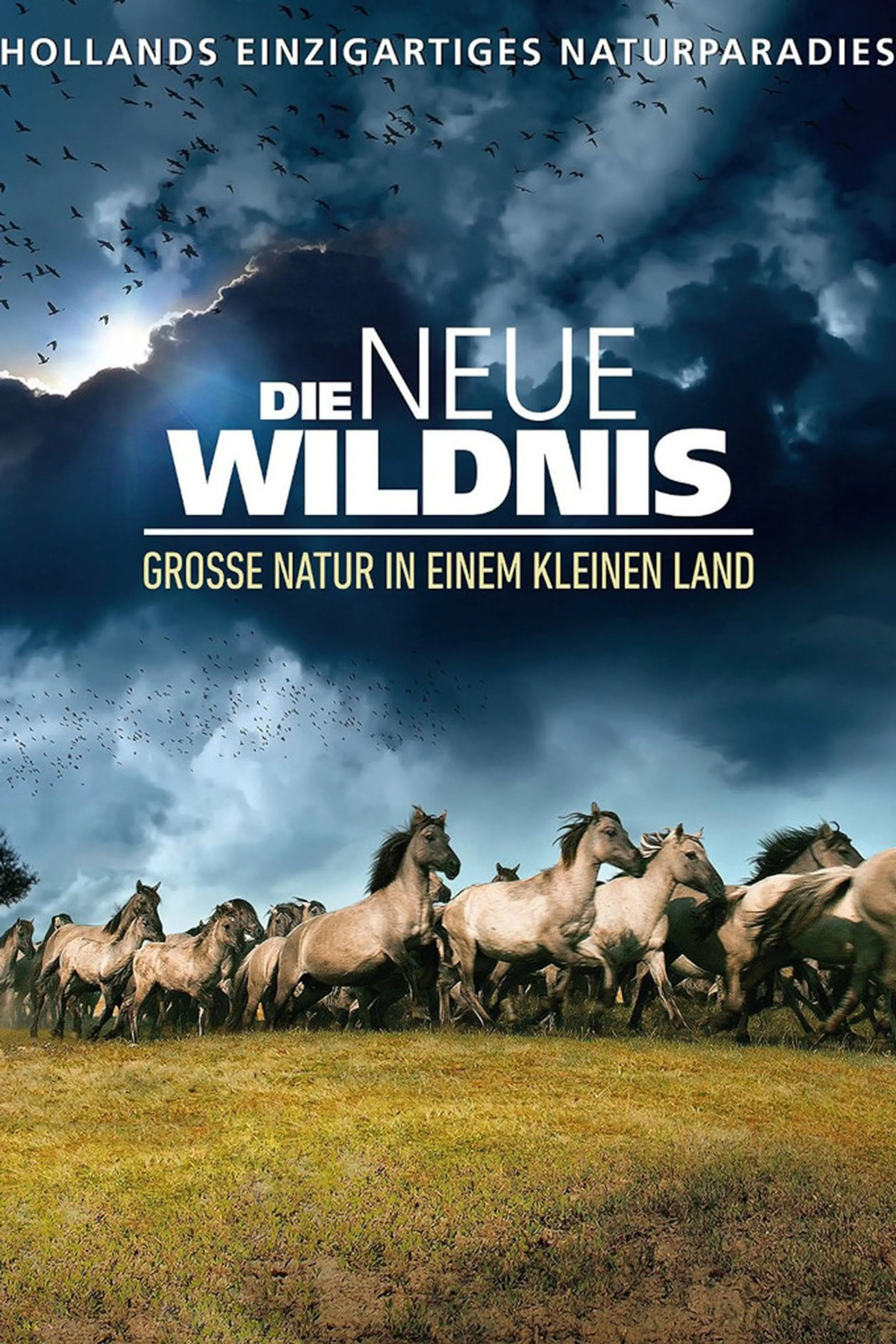 De Nieuwe Wildernis