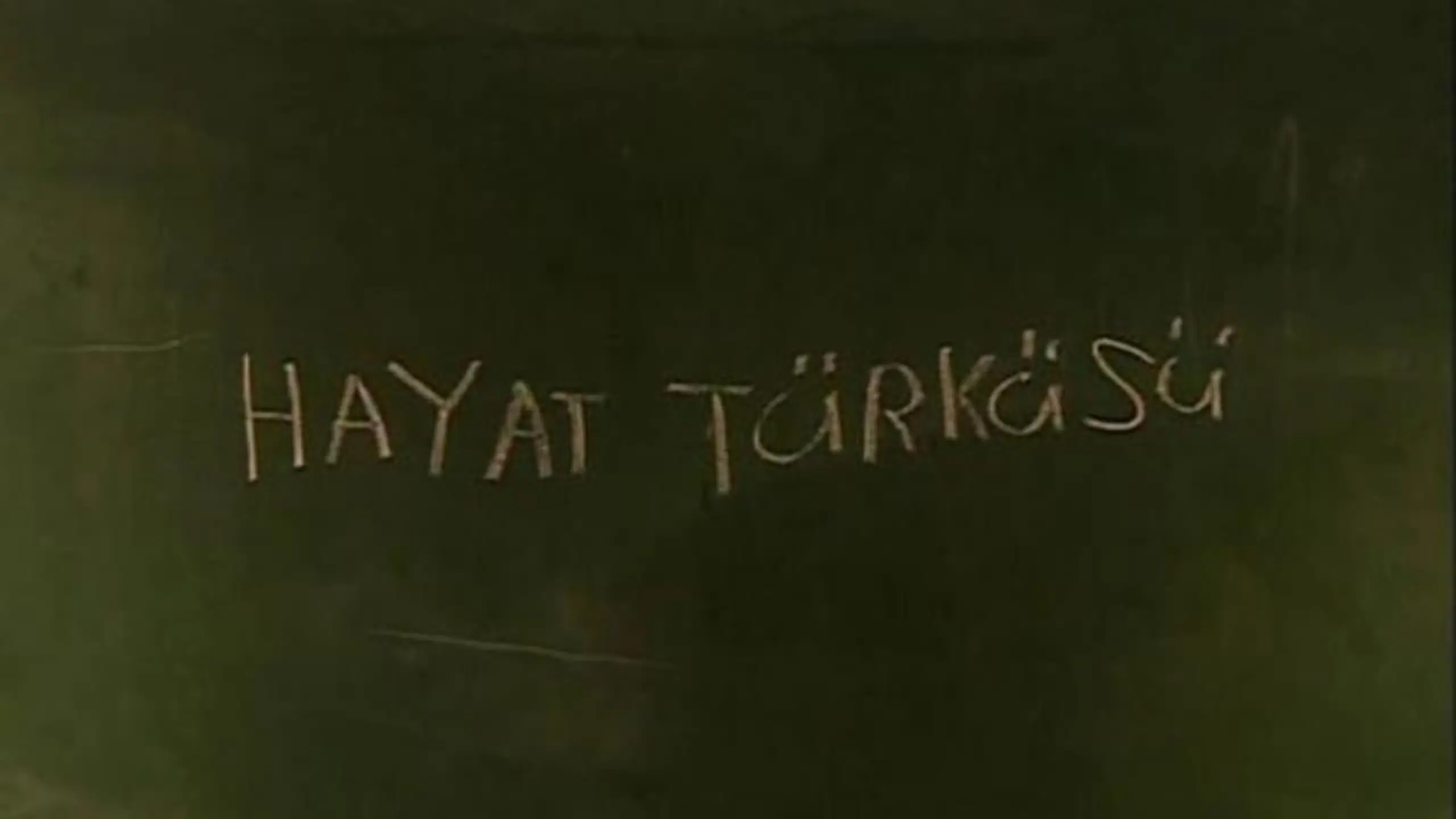 Hayat Türküsü