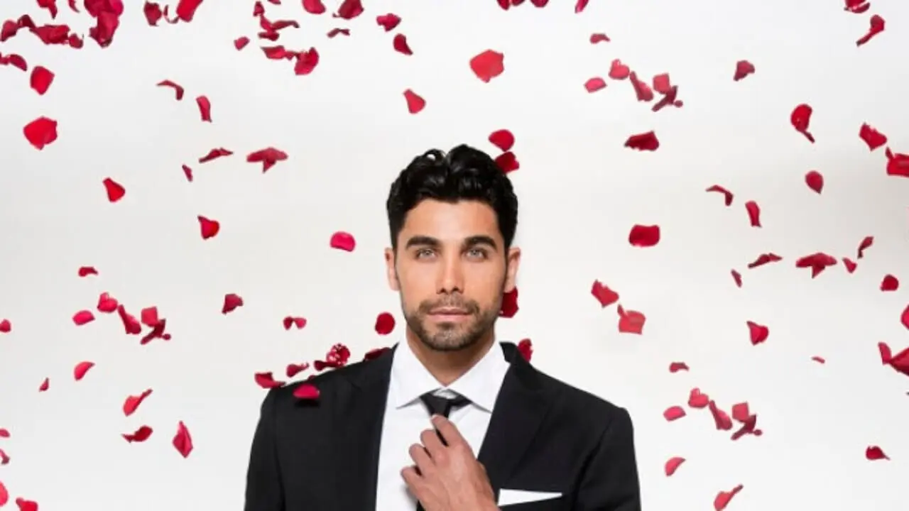 The bachelor greek